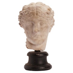 Academic Cast Depicting a Roman Women Head, Italy 1890