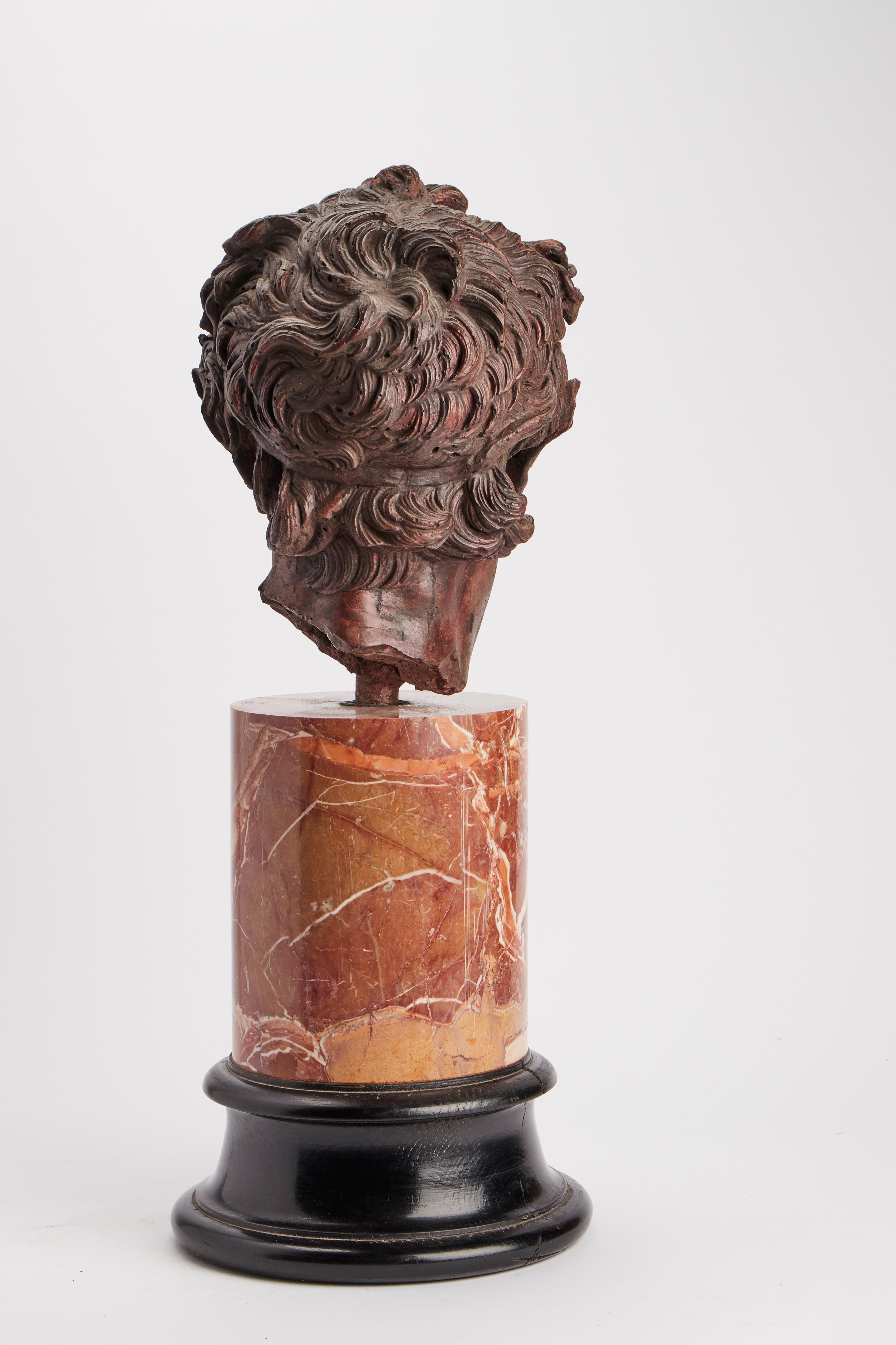 Über dem schwarz bemalten Holzsockel und einer Säule aus rotem Marmor aus Verona befindet sich der Lava- und Kreideabguss des jungen Kopfes von Furietti Centaur. Die Originalskulptur befindet sich in den Musei Capitolini in Rom. Die Skulptur wurde