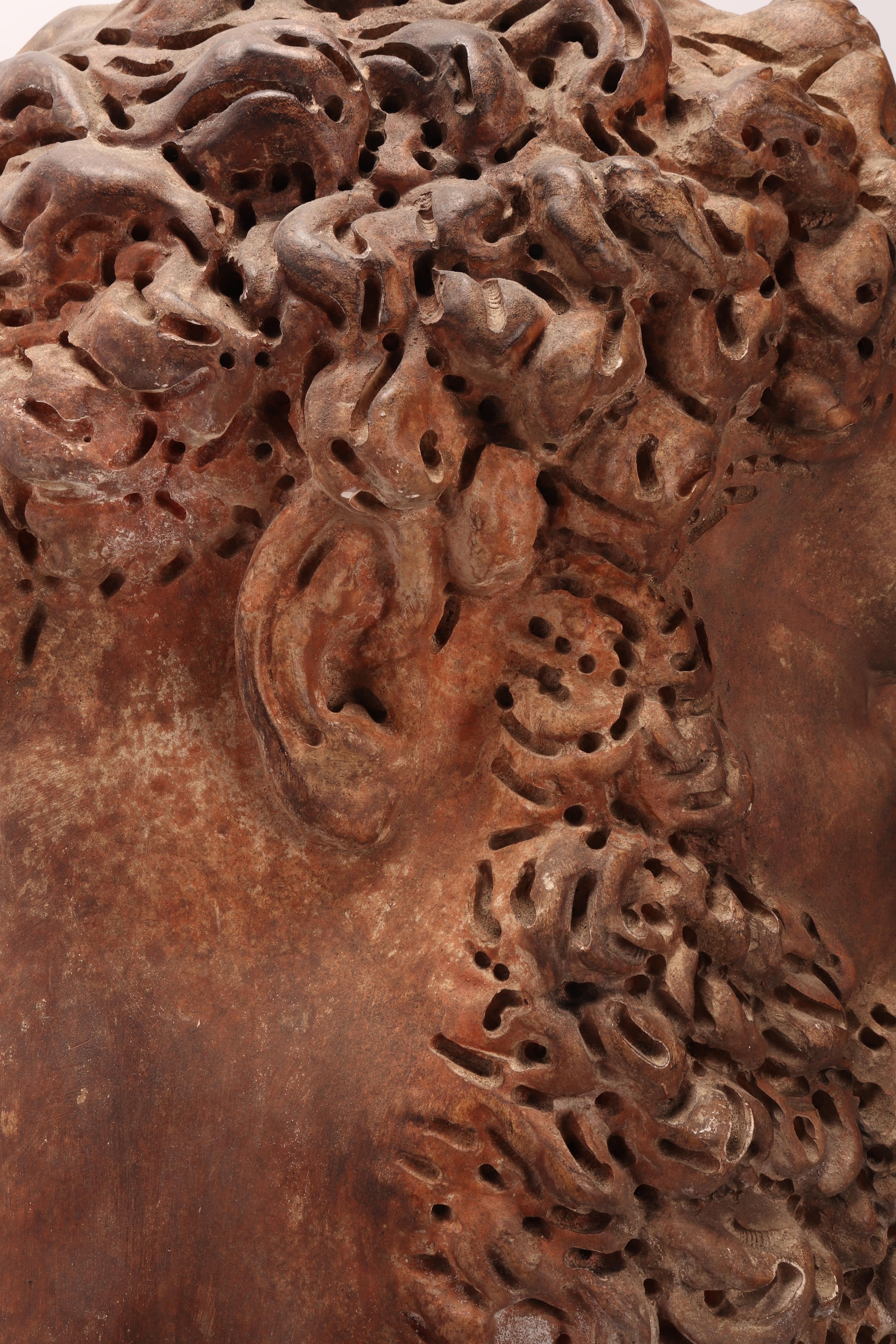 Academic Cast Depicting Hercules Head, Italy, 1880 In Excellent Condition In Milan, IT
