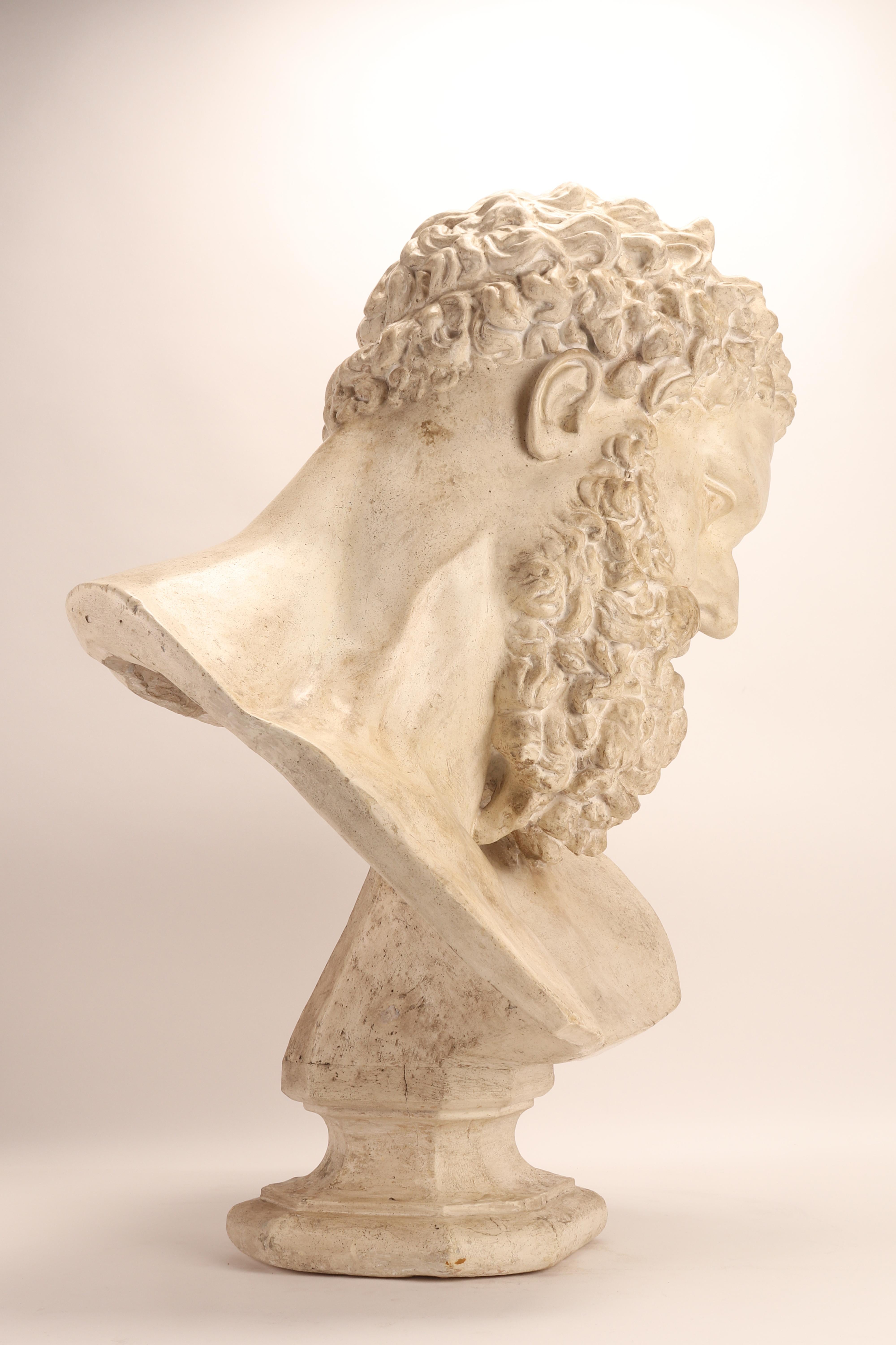 Academic Cast Depicting the Head of Farnese Hercules, Italy 1880 4