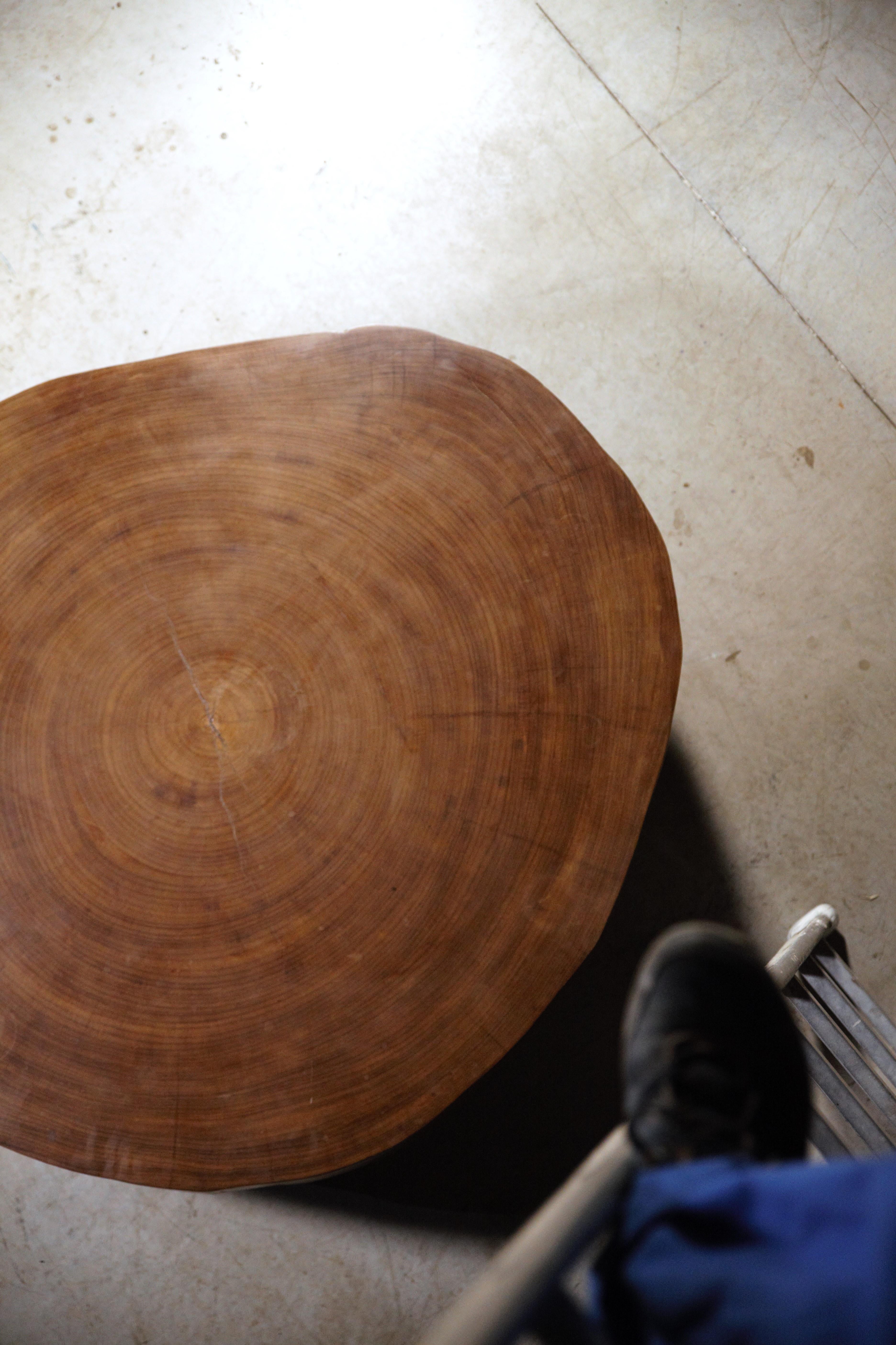 An African Tree Slice Coffee Table in the Style of Pierre Jeanneret France 1970s 5