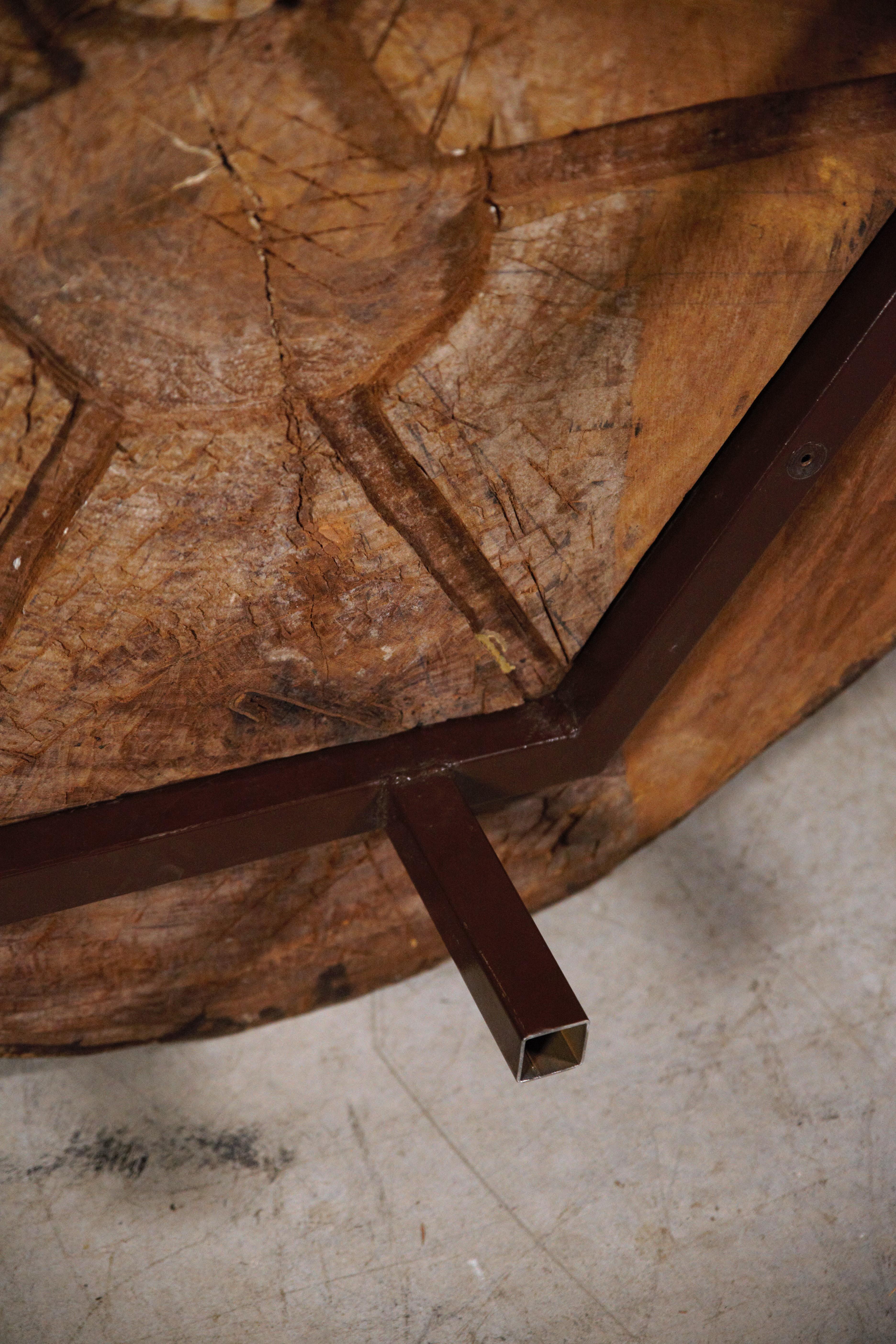 An African Tree Slice Coffee Table in the Style of Pierre Jeanneret France 1970s 9
