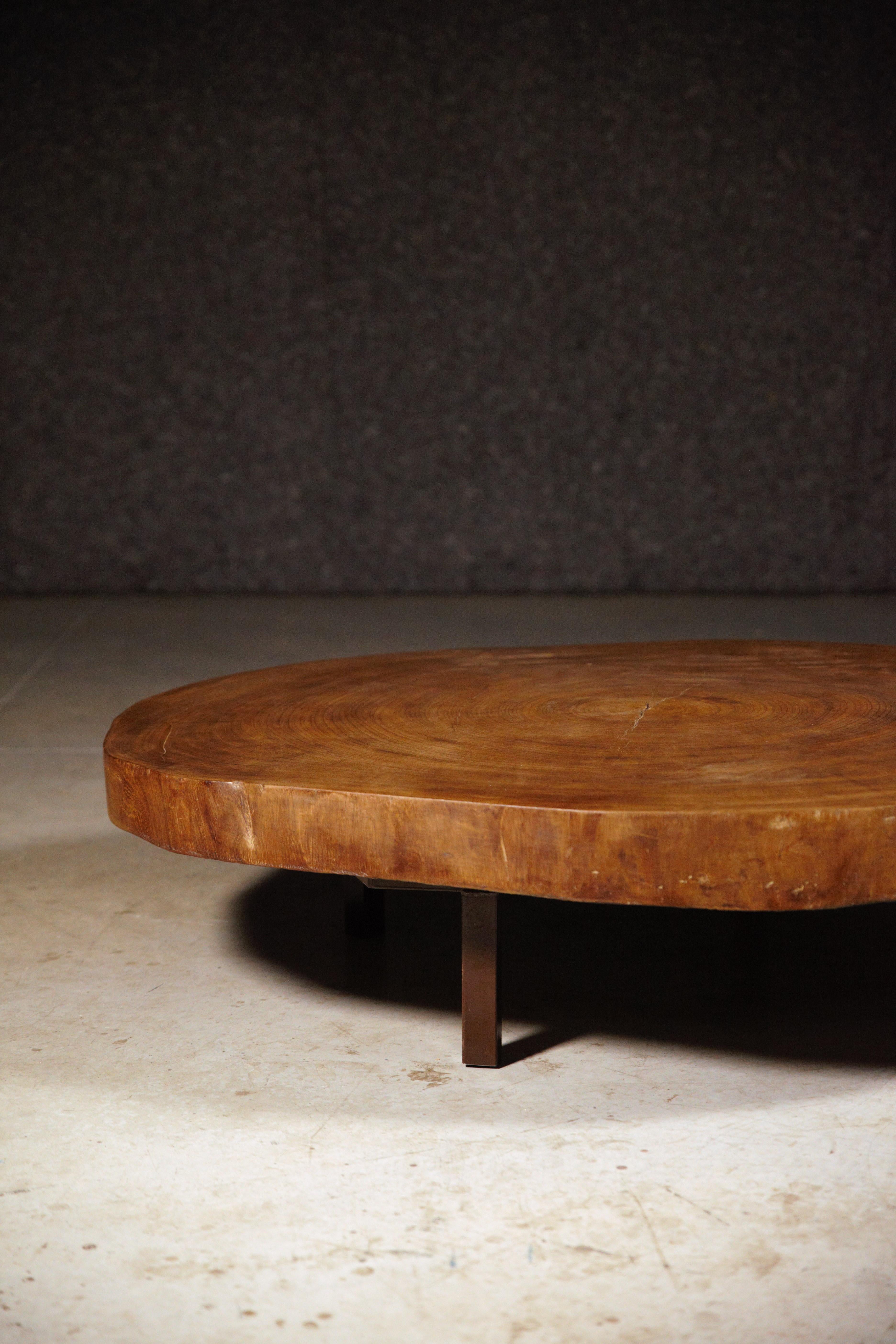 An African Tree Slice Coffee Table in the Style of Pierre Jeanneret France 1970s 3