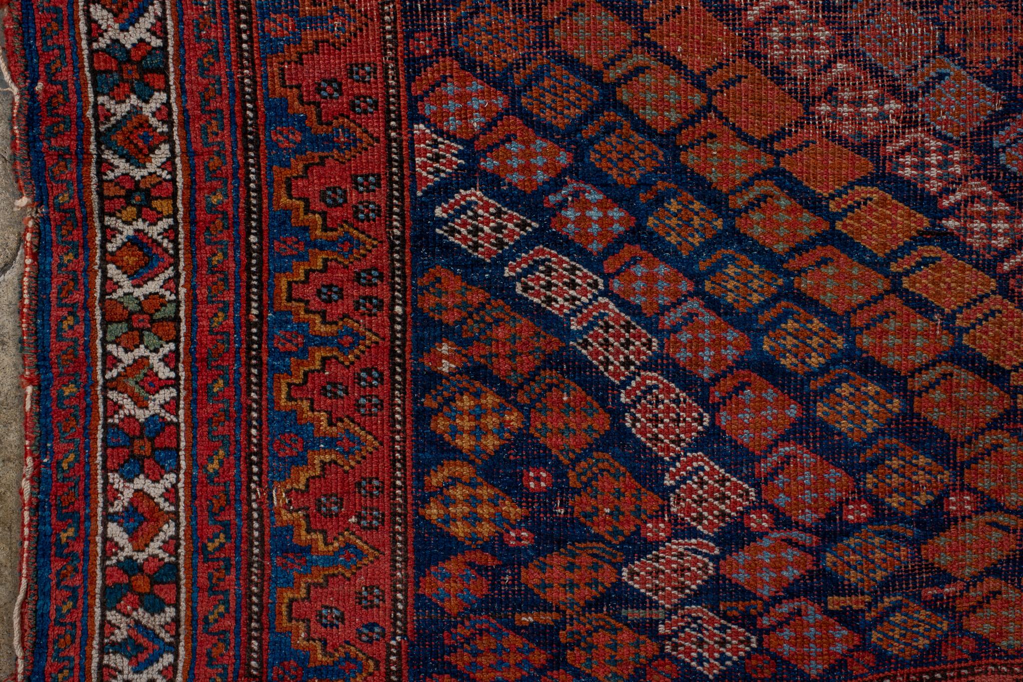 An Afshar Rug circa 1930. In Good Condition For Sale In Philadelphia, PA