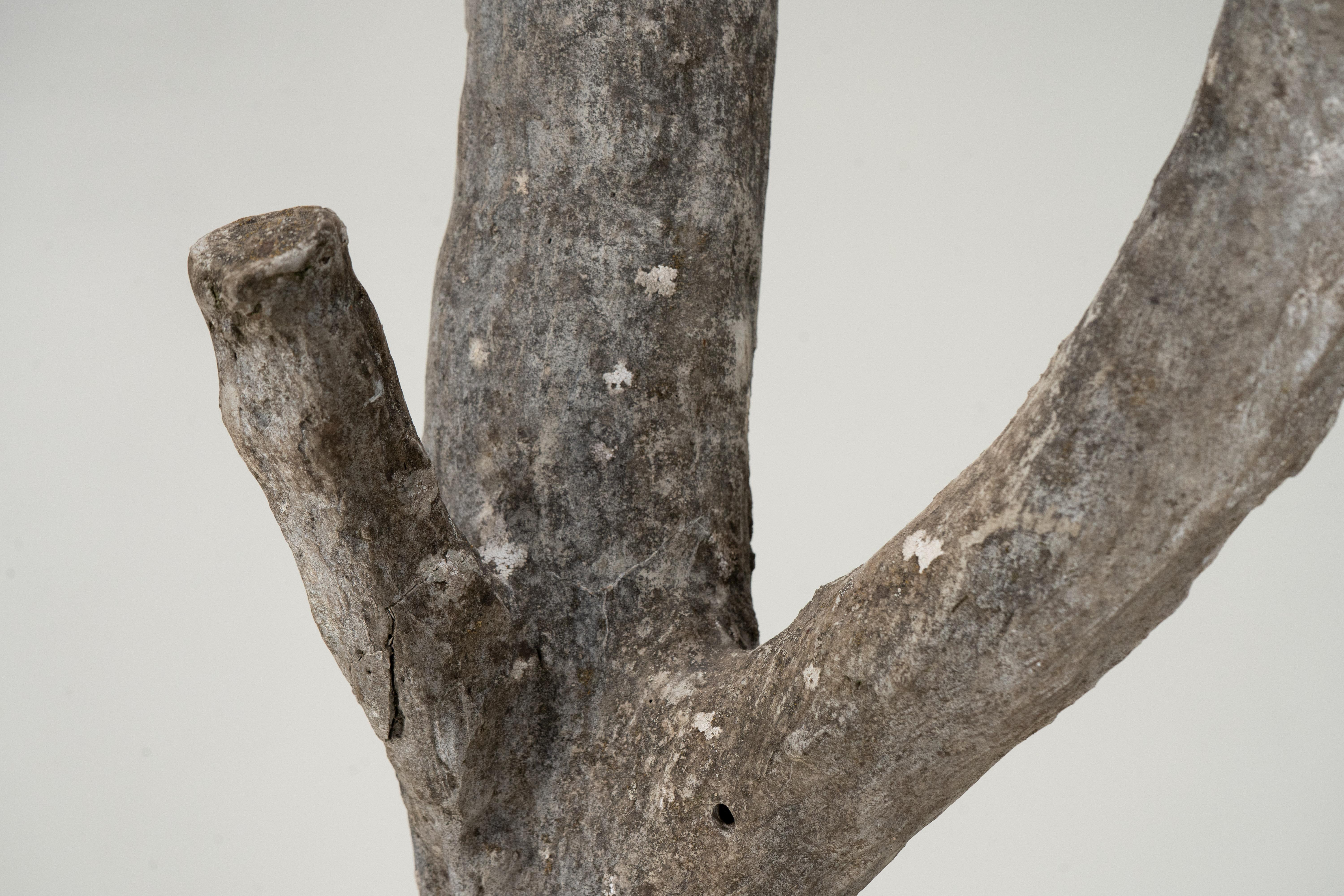 An Allegorical Sculpture of a Dog and A Crow on a Tree 4