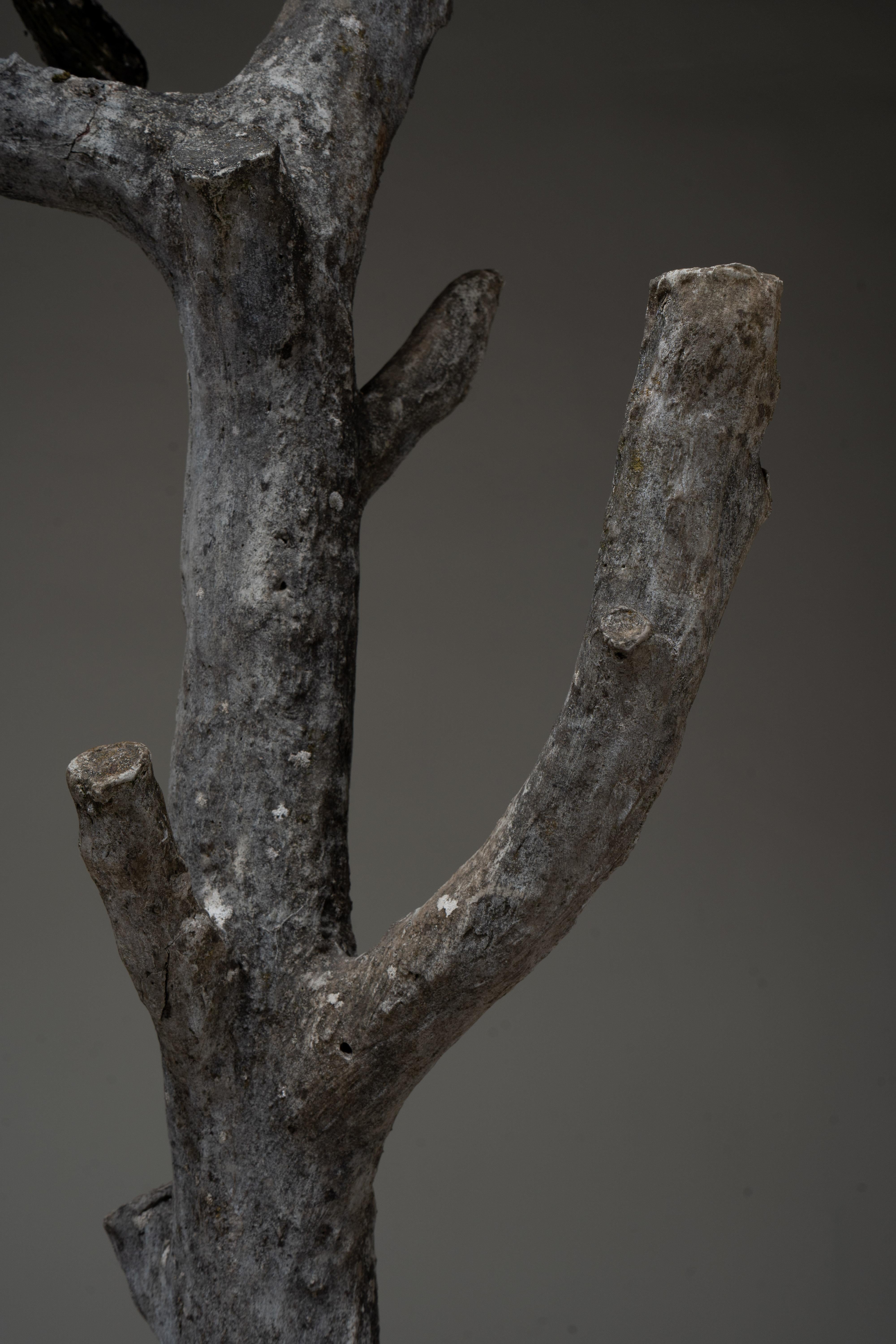 An Allegorical Sculpture of a Dog and A Crow on a Tree 11