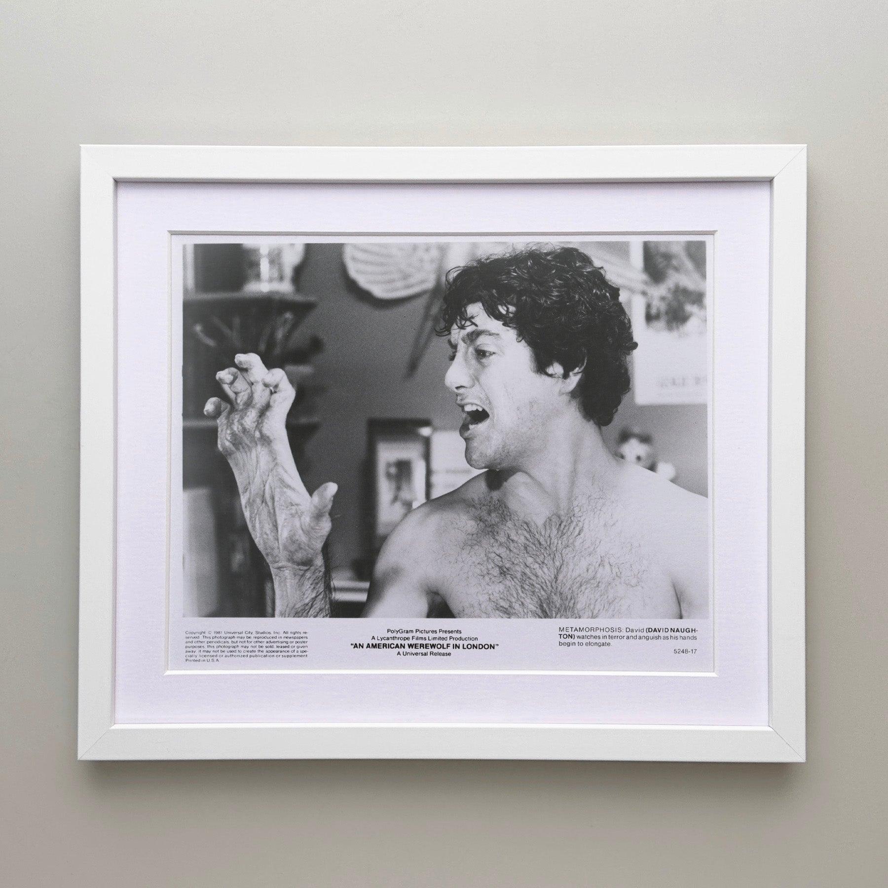 An American Werewolf in London (1981) Press Publicity Still - Framed In Excellent Condition For Sale In Bath, Somerset