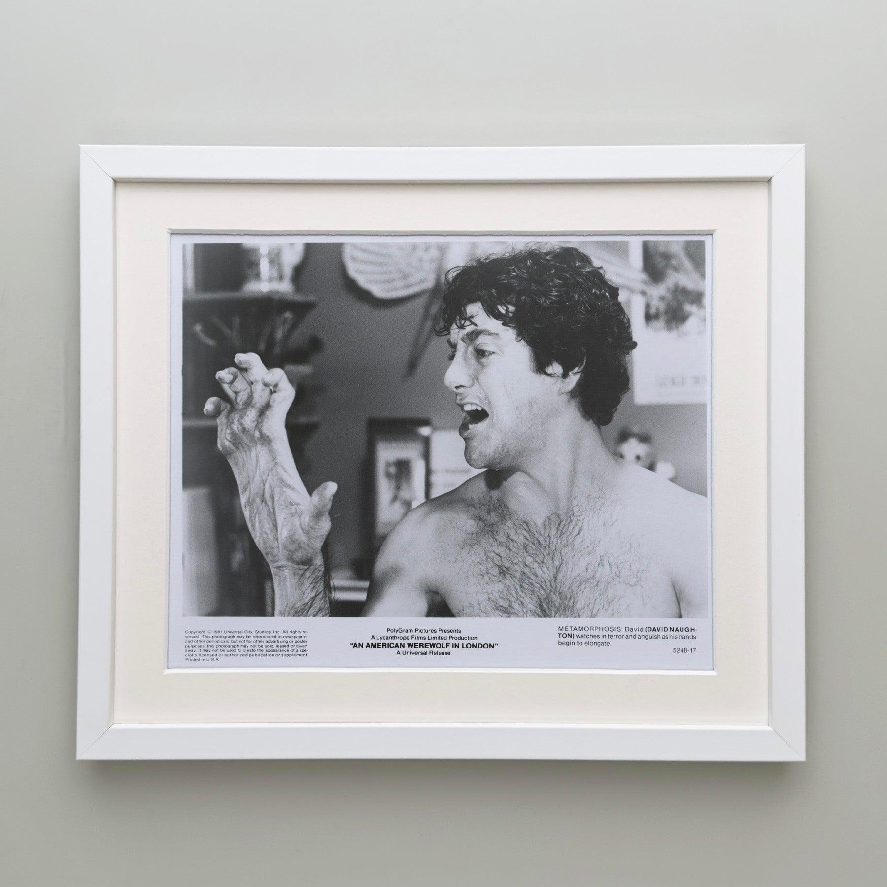 20th Century An American Werewolf in London (1981) Press Publicity Still - Framed For Sale