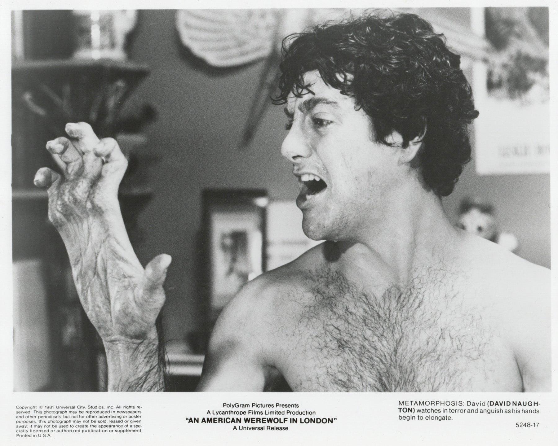 An American Werewolf in London (1981) Press Publicity Still - Framed For Sale 1