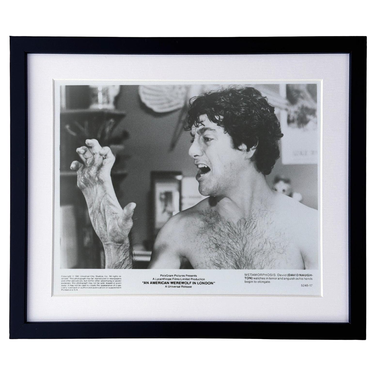 Un lupo mannaro americano a Londra (1981) Foto pubblicitaria - Incorniciata