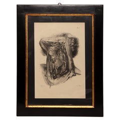 Prints