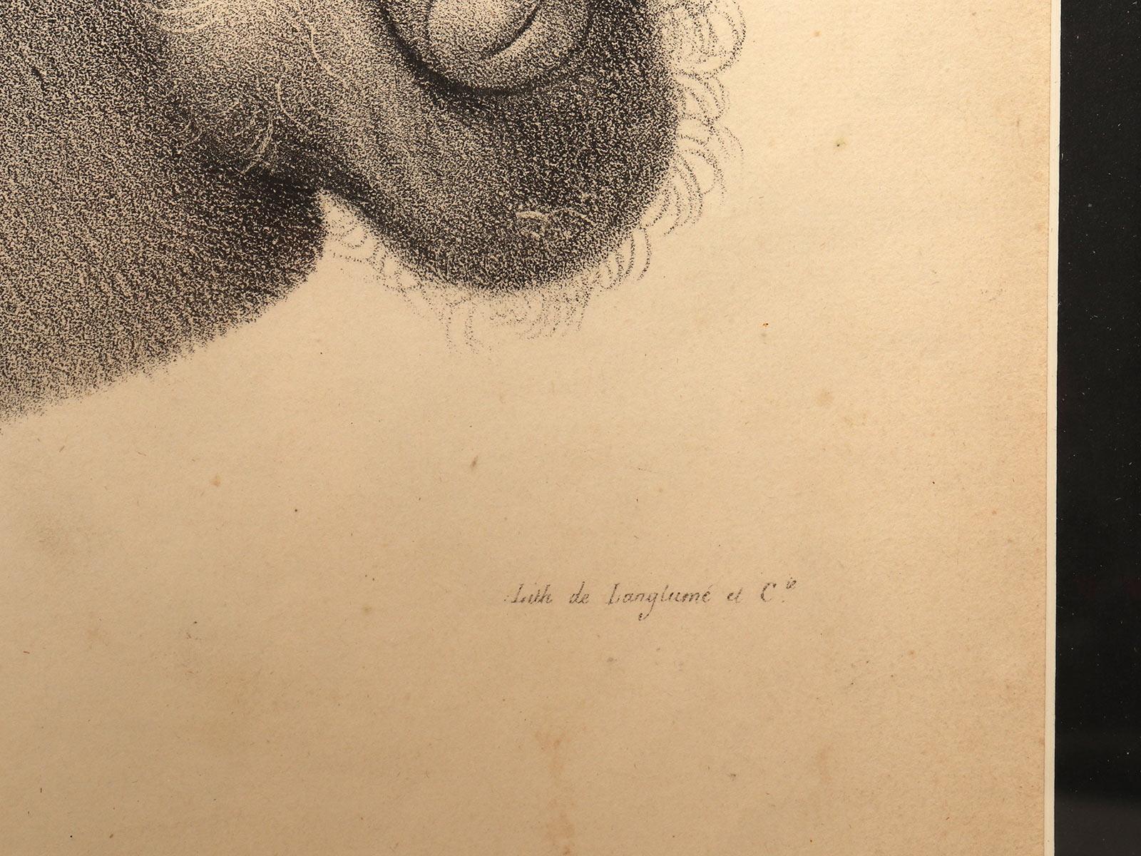XIX secolo Stampa litografica anatomica su carta, sistema genitale maschile, Francia 1850. in vendita