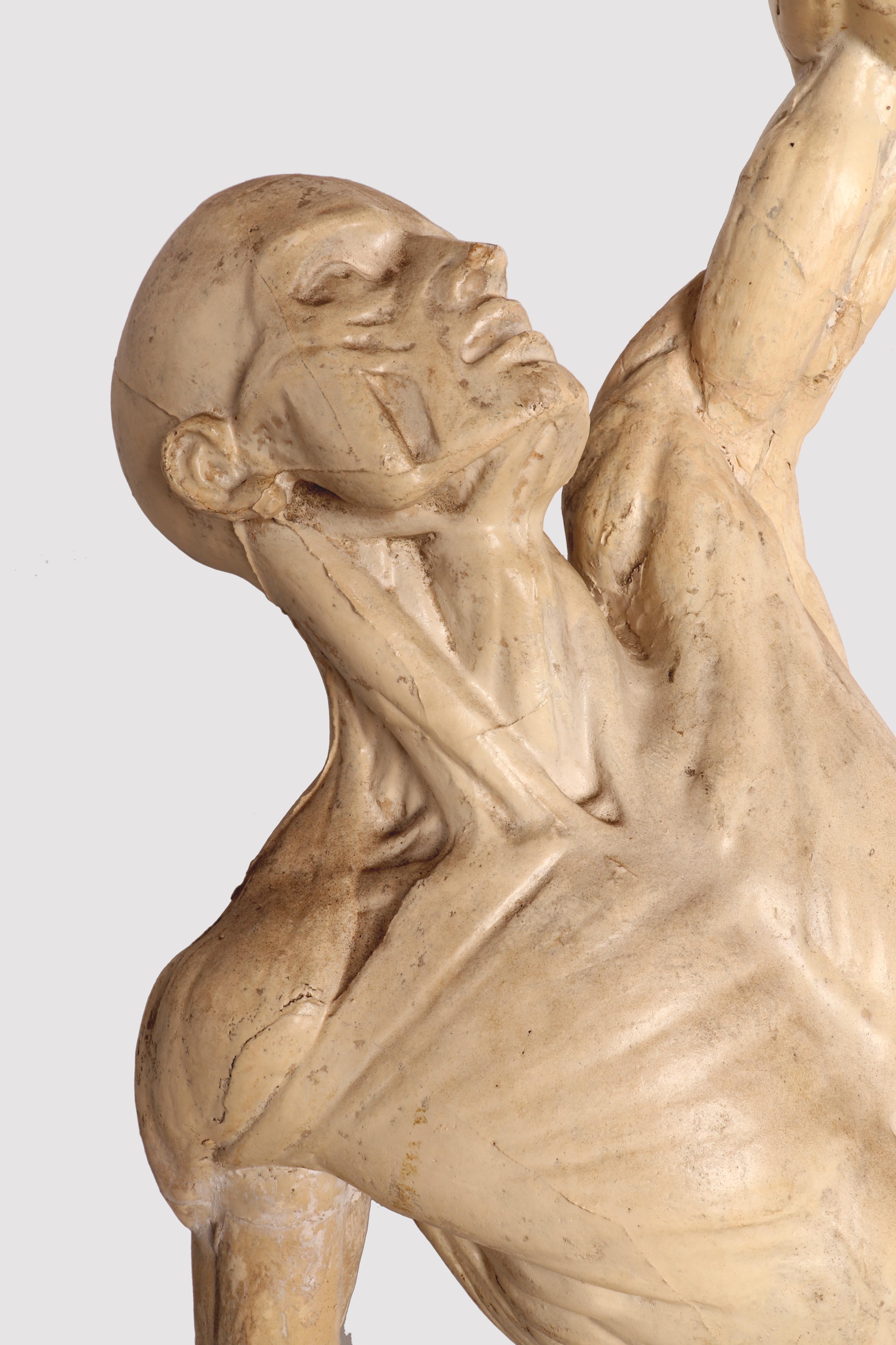 Anatomical Model, Italy 1880 9