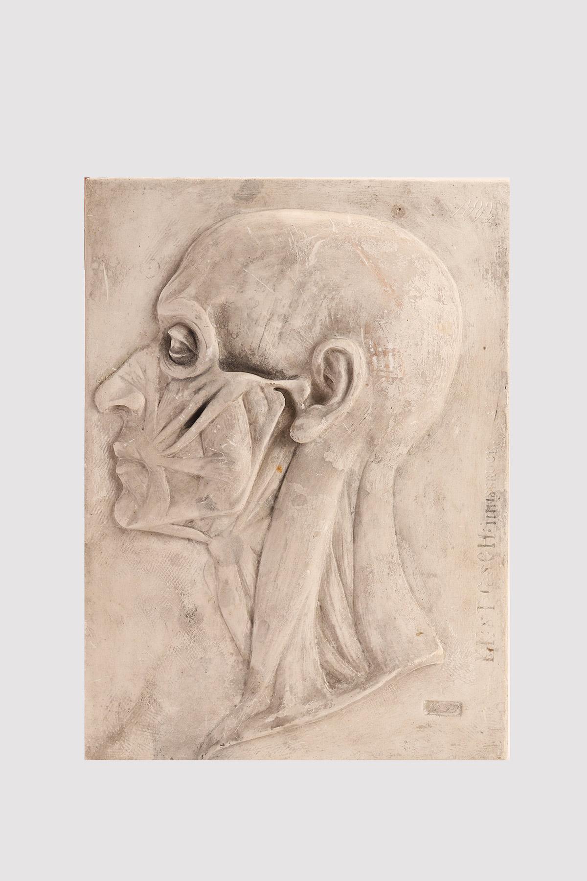 Modèle anatomique de la section de la tête, moulé en plâtre, signé 