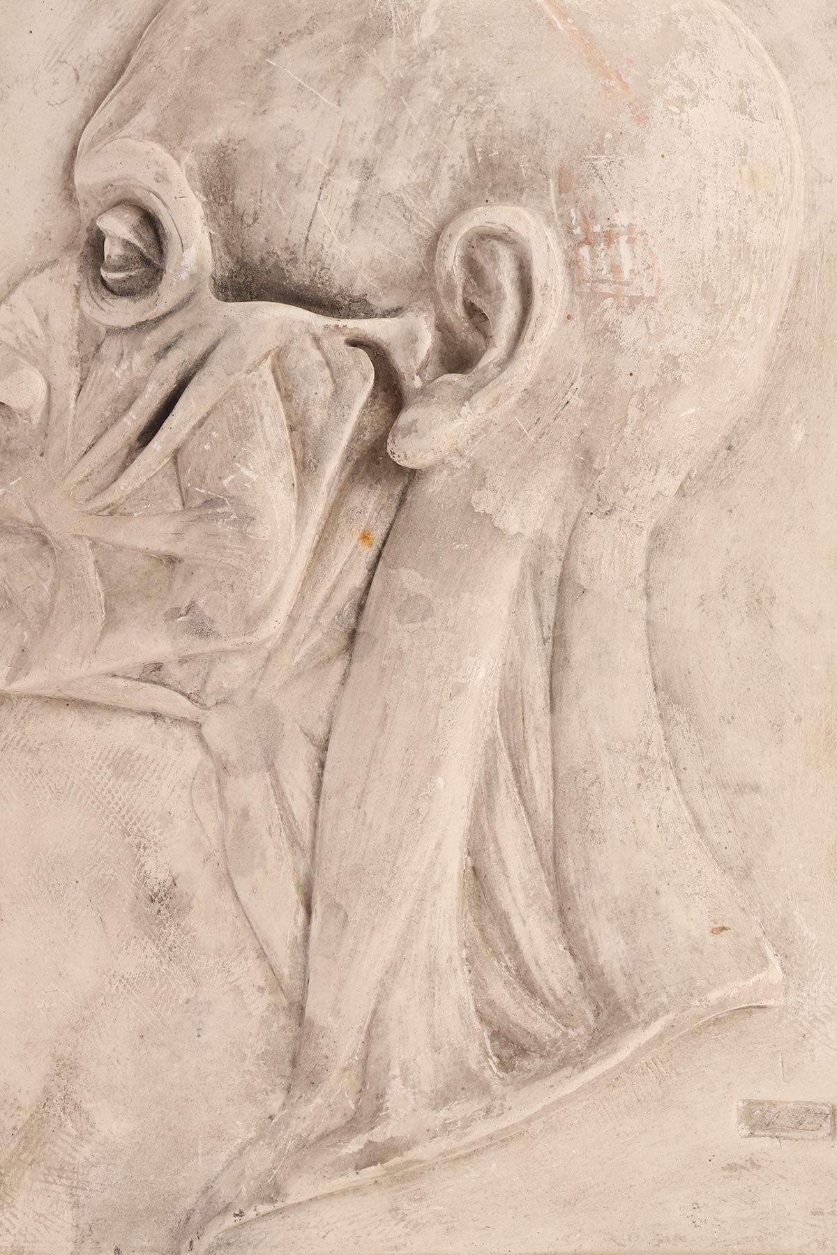 Plâtre Modèle anatomique en plâtre de la section de la tête, Autriche, 1870. en vente