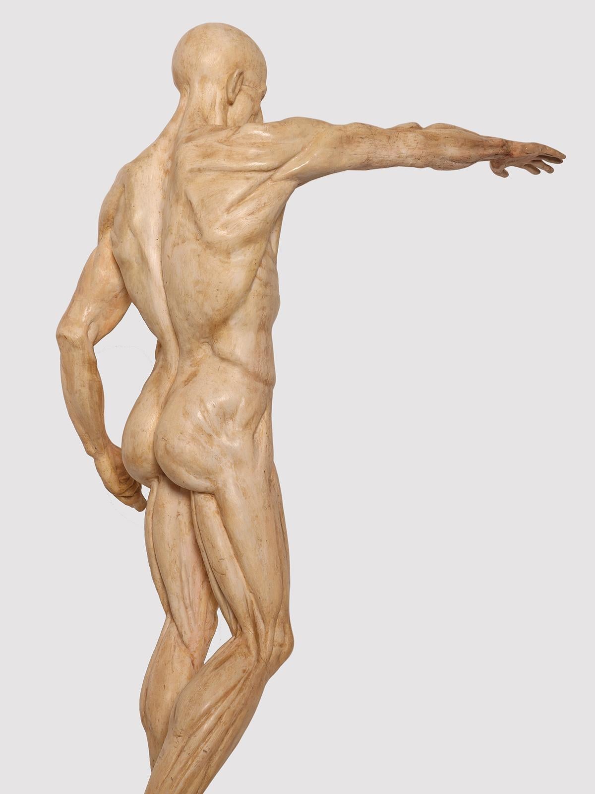 Un modello anatomico di pelle in gesso per uso didattico, Italia 1880. in vendita 1