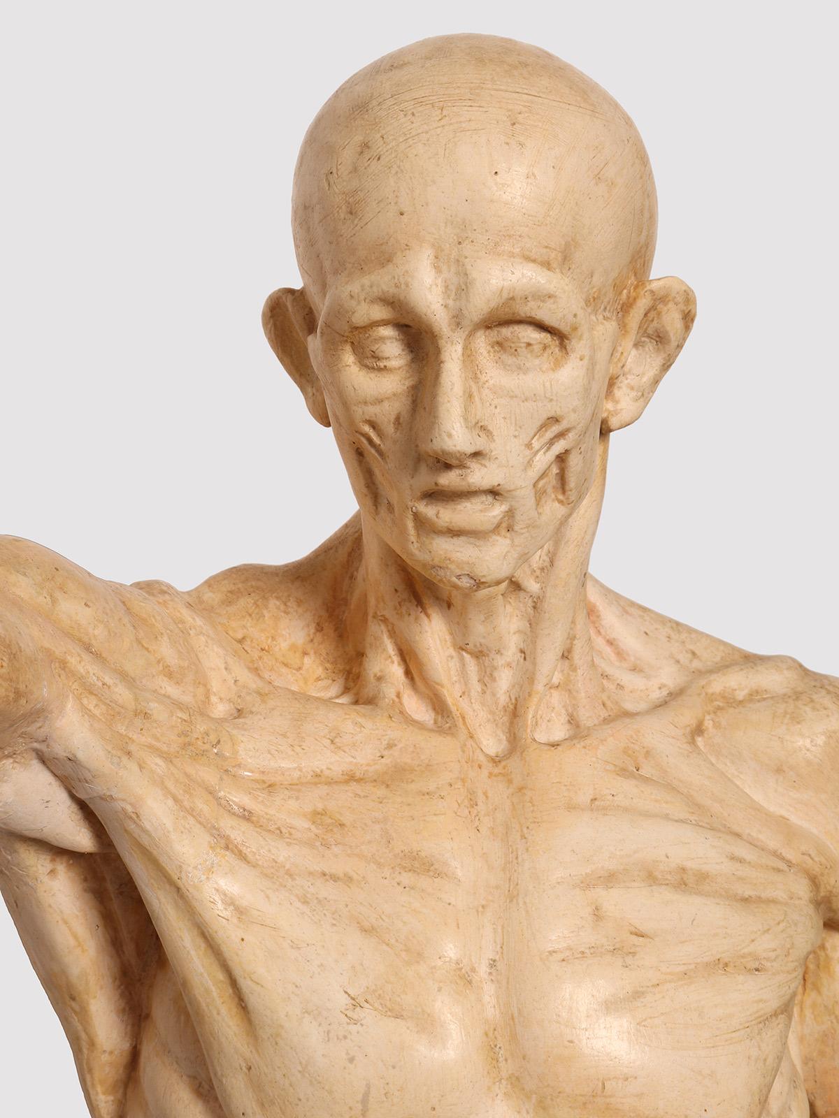 Un modello anatomico di pelle in gesso per uso didattico, Italia 1880. in vendita 2