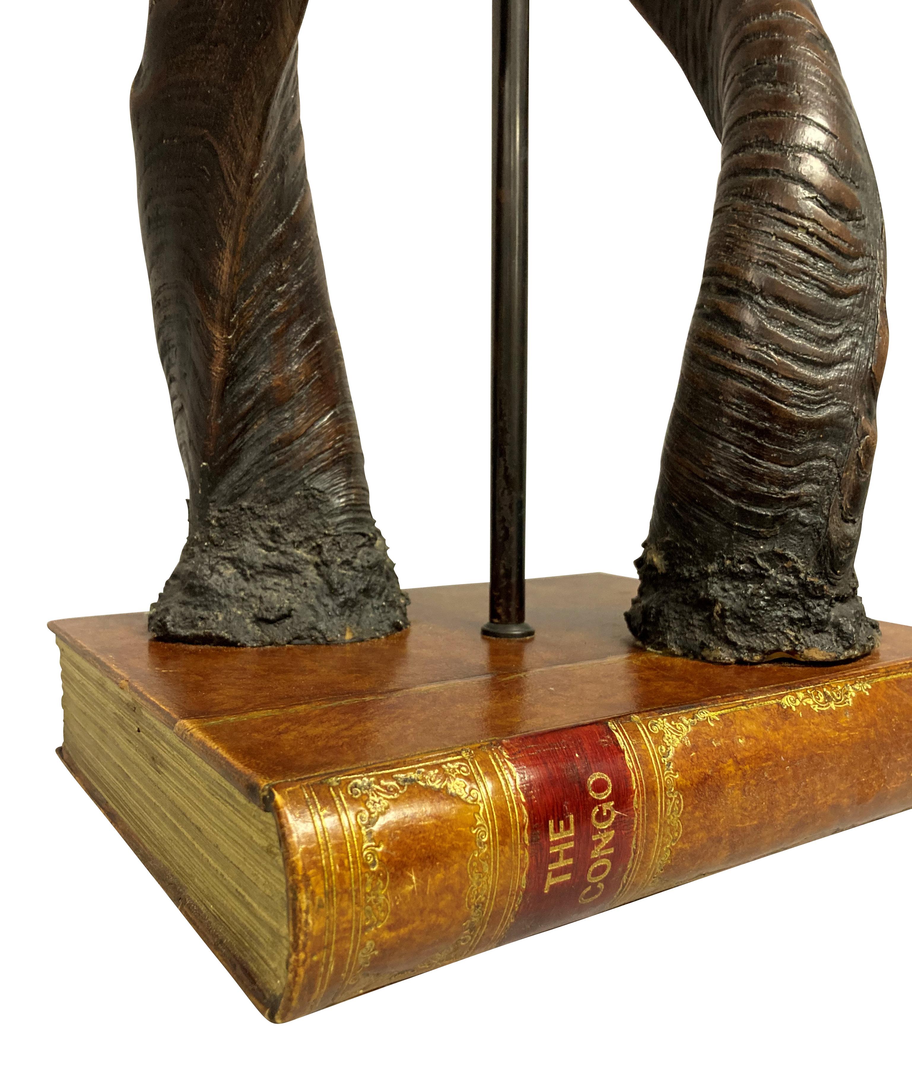 A table lamp made from a pair of antique antelope horns, mounted on a faux leather book, with a central bronzed light fitting.