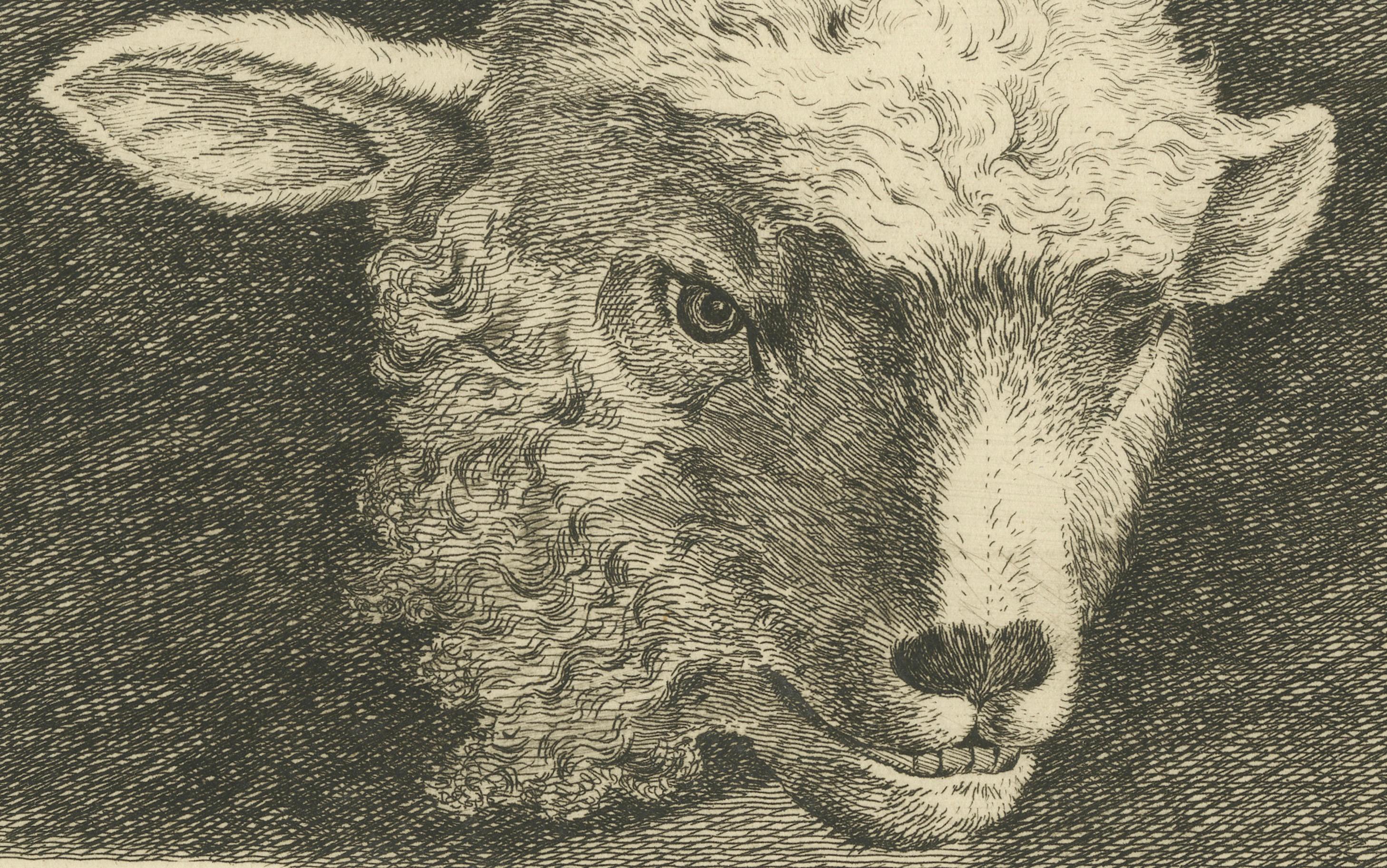 An Anthony Oberman Etched Study of Lamb's Head: Farm Animal Art, 1810 In Good Condition In Langweer, NL