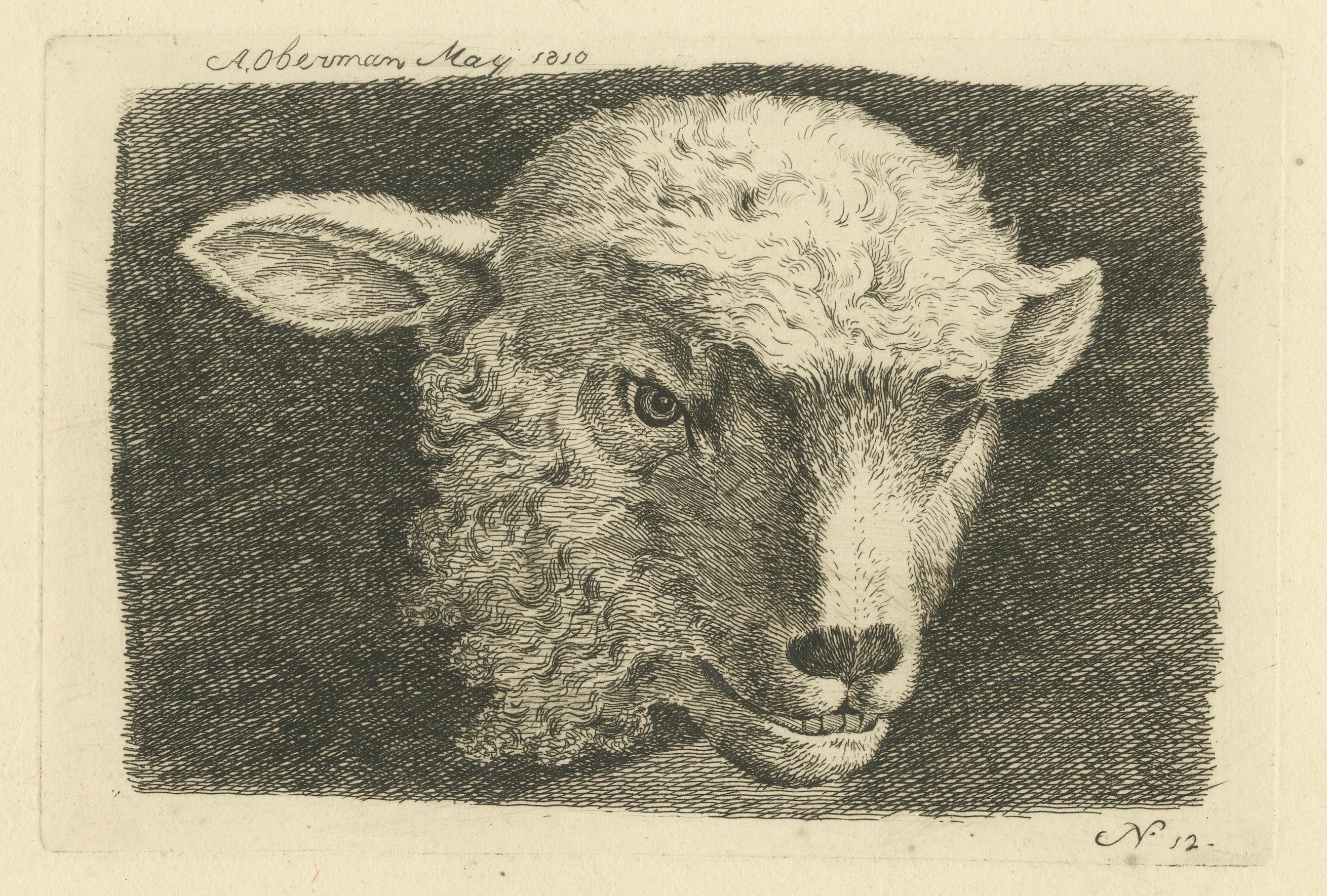 Early 19th Century An Anthony Oberman Etched Study of Lamb's Head: Farm Animal Art, 1810