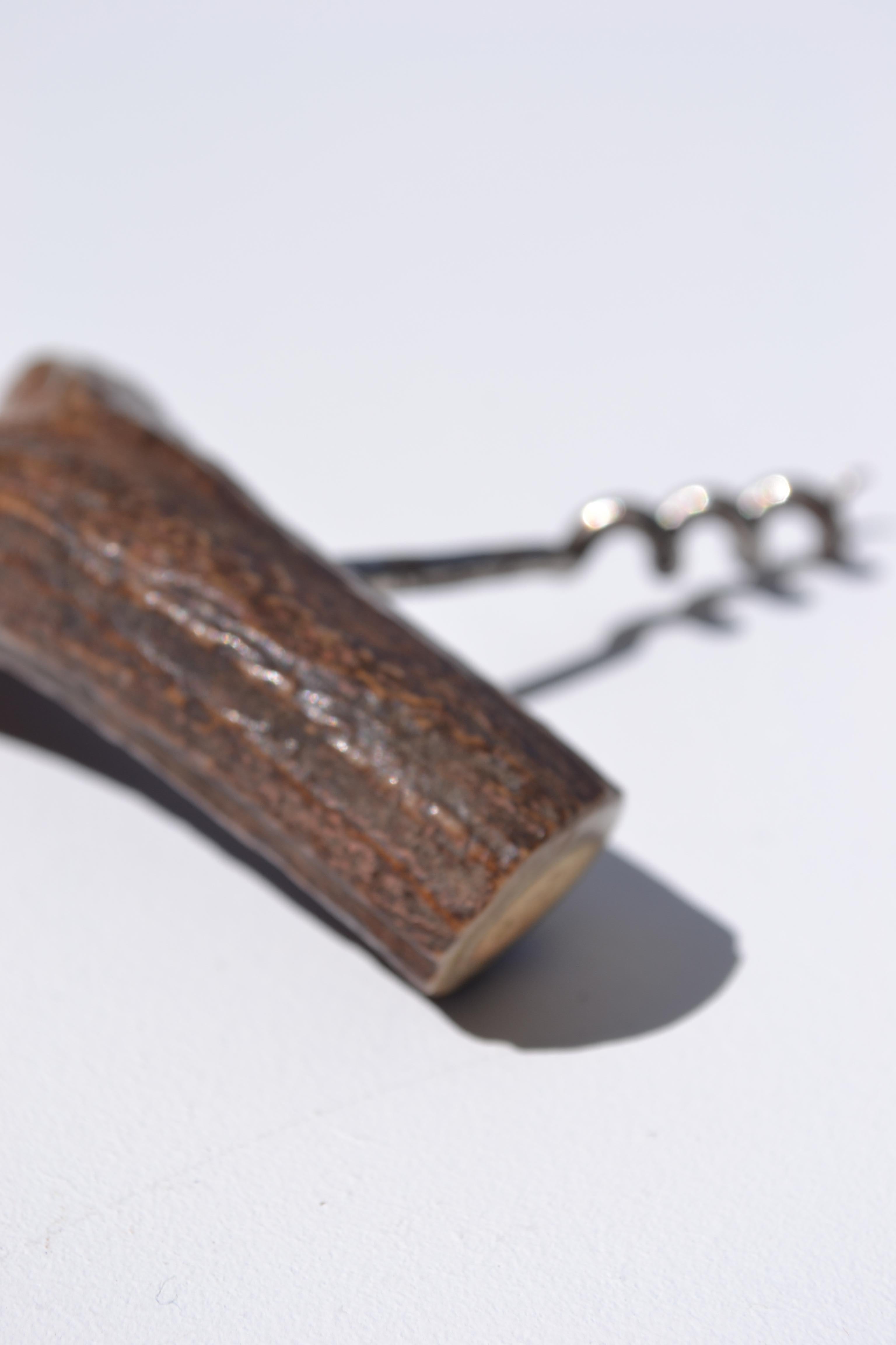 Français Un entonnoir ancien fabriqué à partir d'un fragment de bois de cerf - France - début du XXe siècle en vente