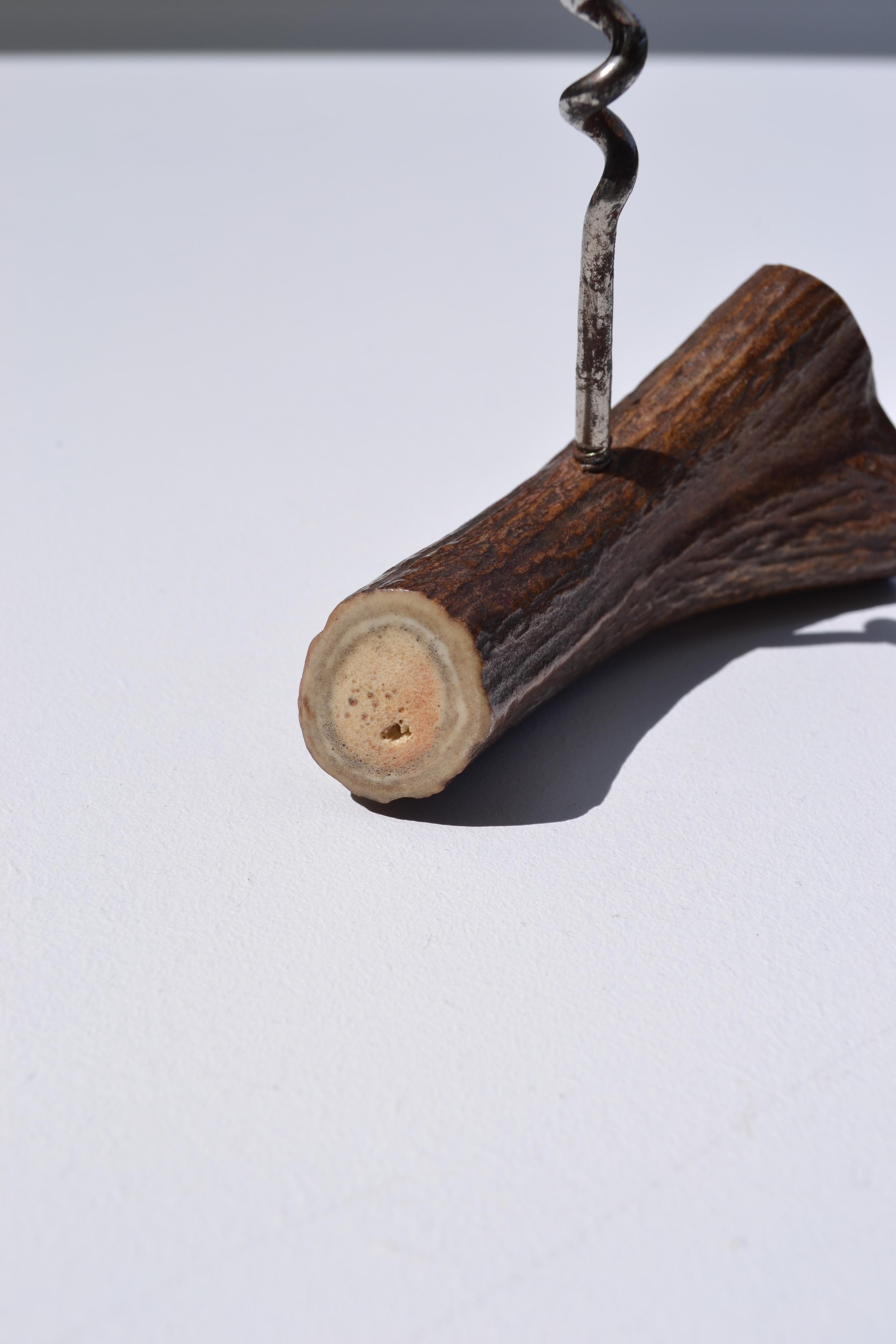 20ième siècle Un entonnoir ancien fabriqué à partir d'un fragment de bois de cerf - France - début du XXe siècle en vente