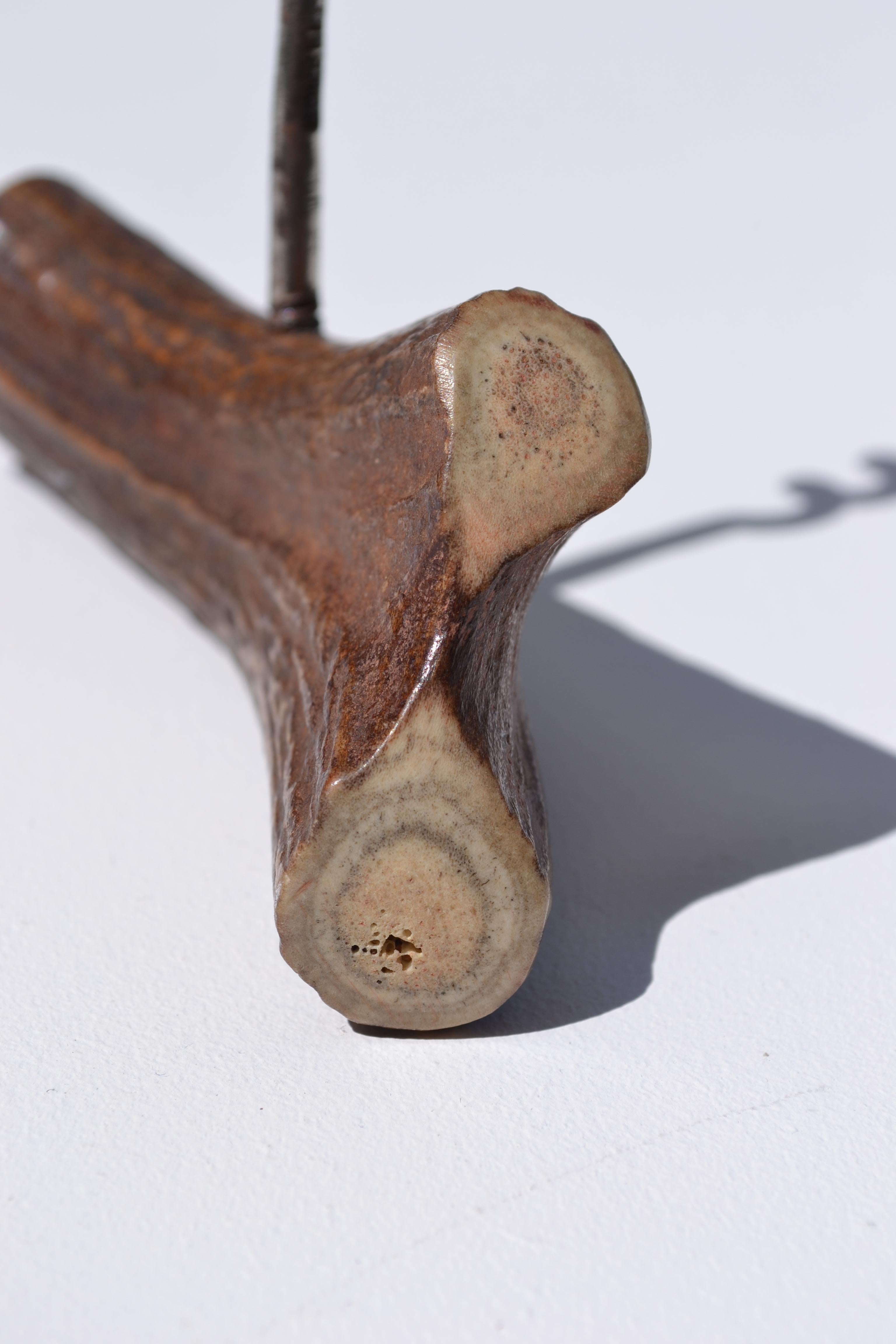 Acier Un entonnoir ancien fabriqué à partir d'un fragment de bois de cerf - France - début du XXe siècle en vente