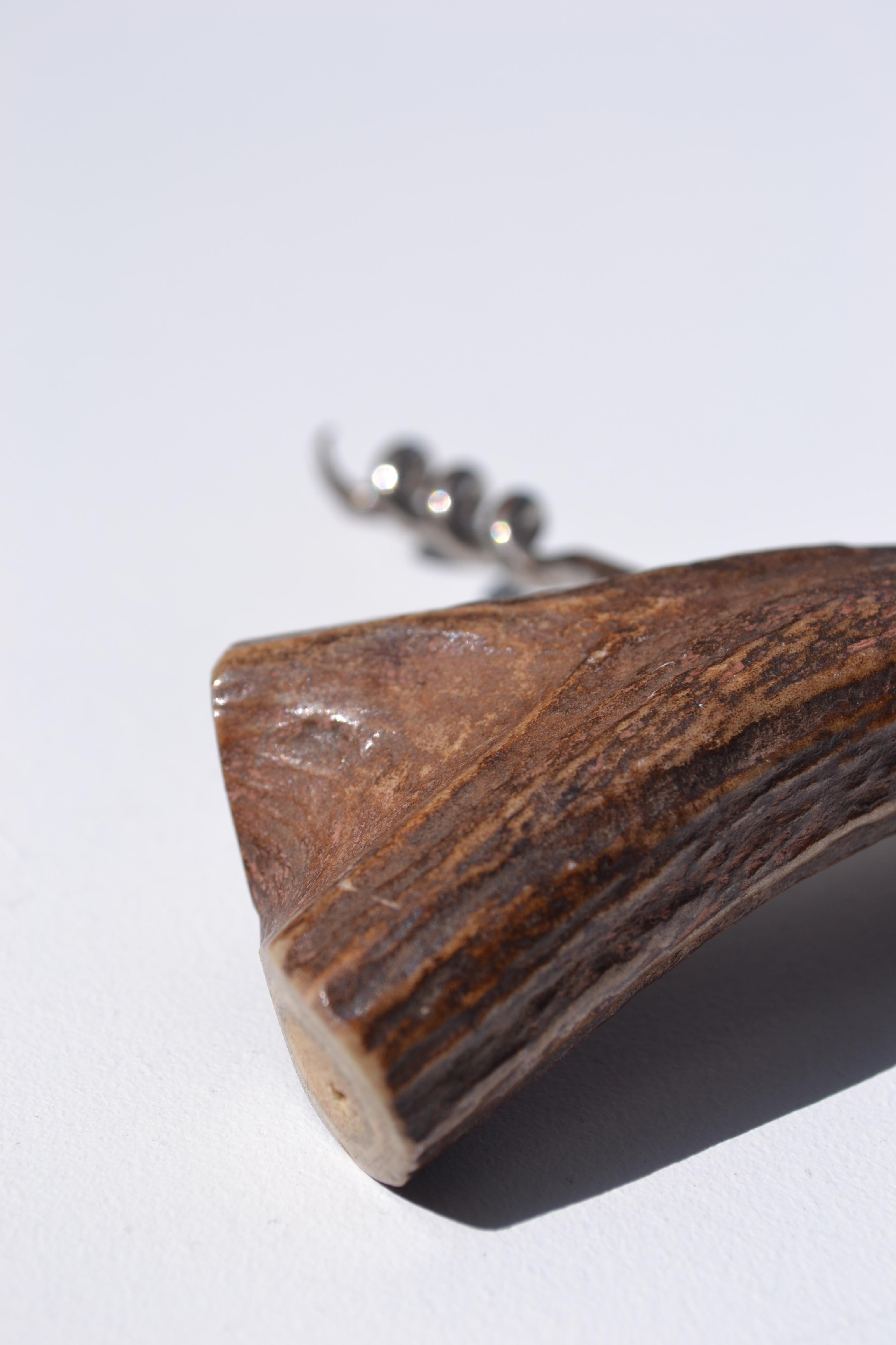 Un entonnoir ancien fabriqué à partir d'un fragment de bois de cerf - France - début du XXe siècle en vente 1