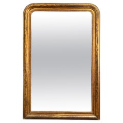 An Antique French Domed Top Gold Gilt Mirror