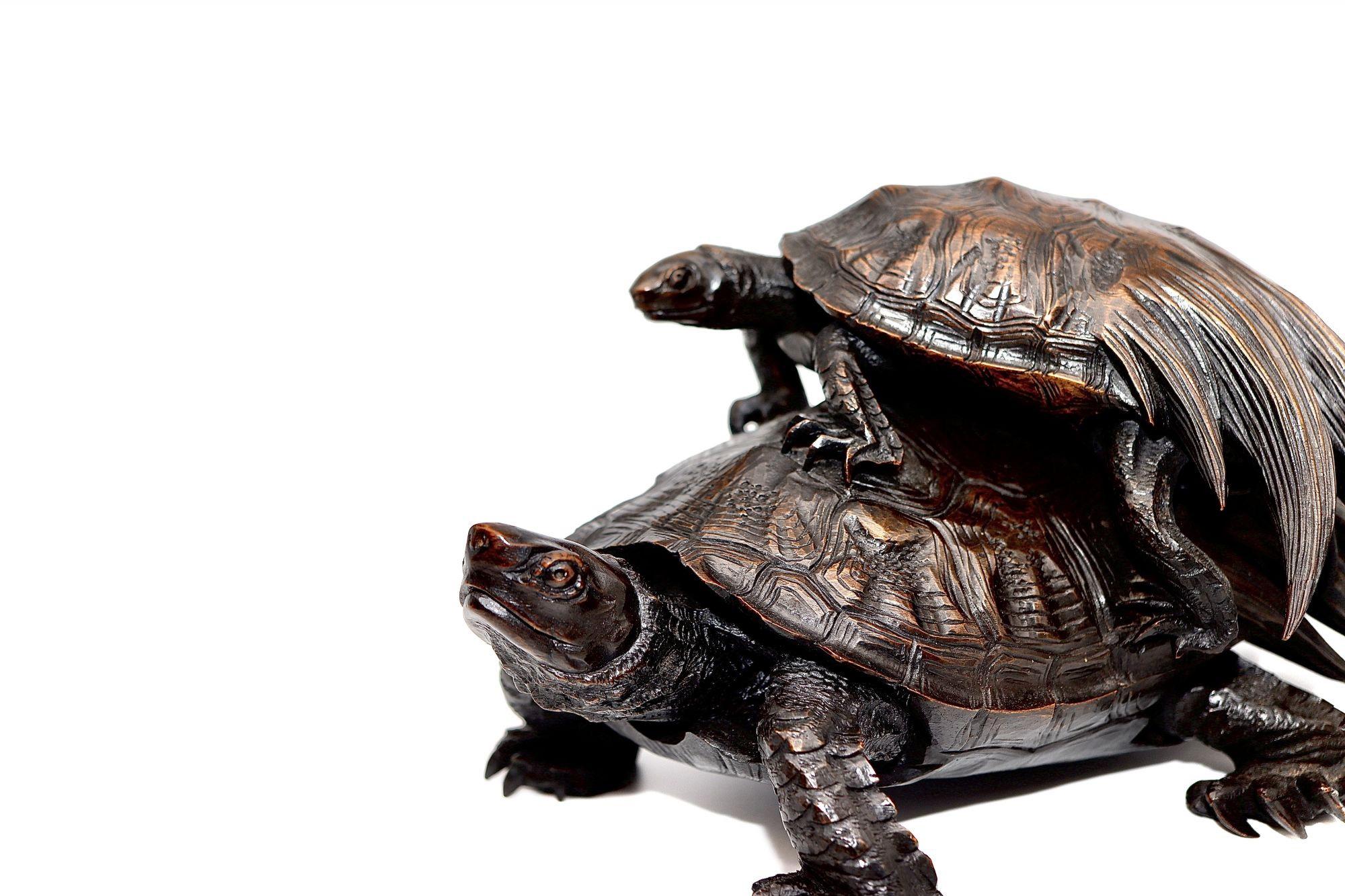 Antique Japanese Wood Carving of Two Minogames 'Mythological Turtle', 18th C For Sale 5