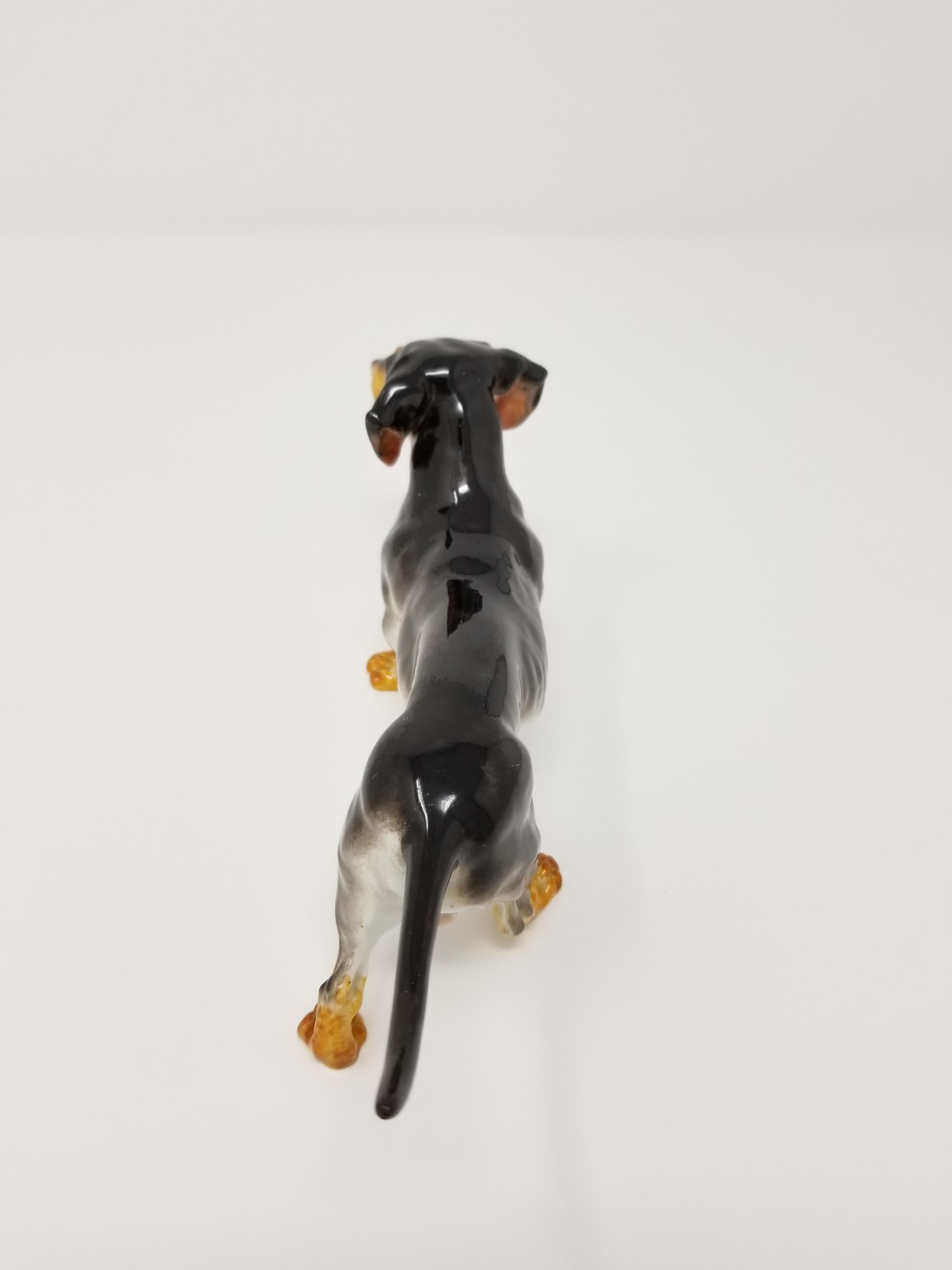Ancienne figurine en porcelaine de Meissen représentant un chien teckel, avec une double marque d'épées croisées en bleu sous glaçure. Il s'agit d'une figurine de chien teckel très bien représentée avec une fourrure supérieure noire, une fourrure