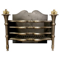 An Antique Regency Style Fire Grate