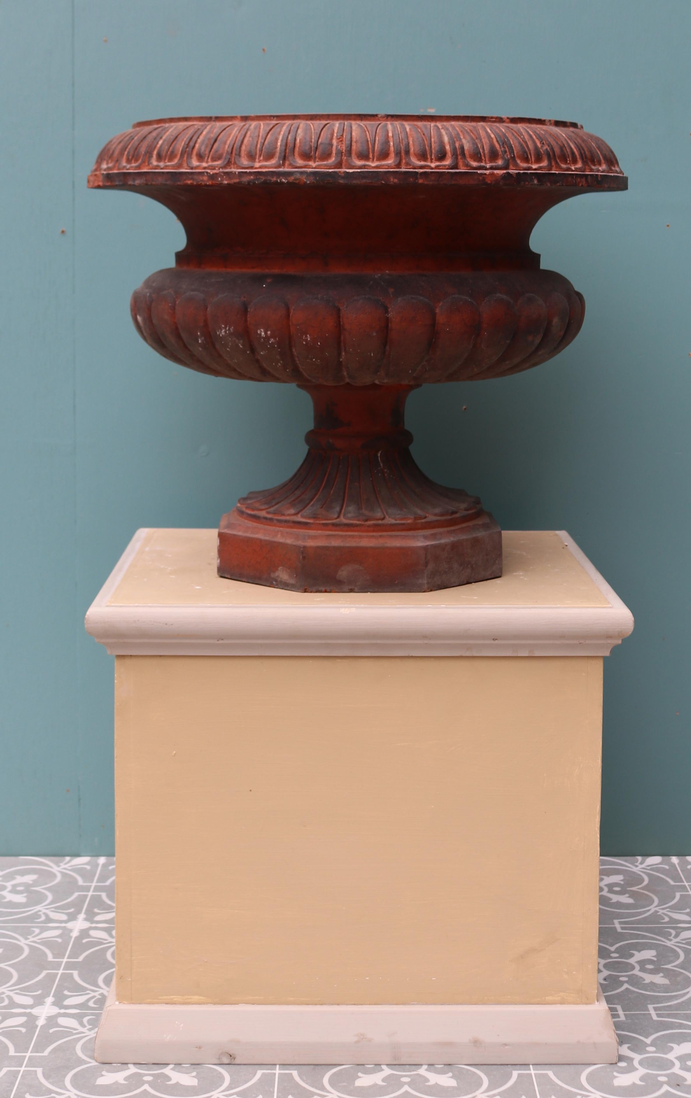 A red terracotta urn in the Victorian style.

Additional Dimensions

Base 24 x 24 cm.