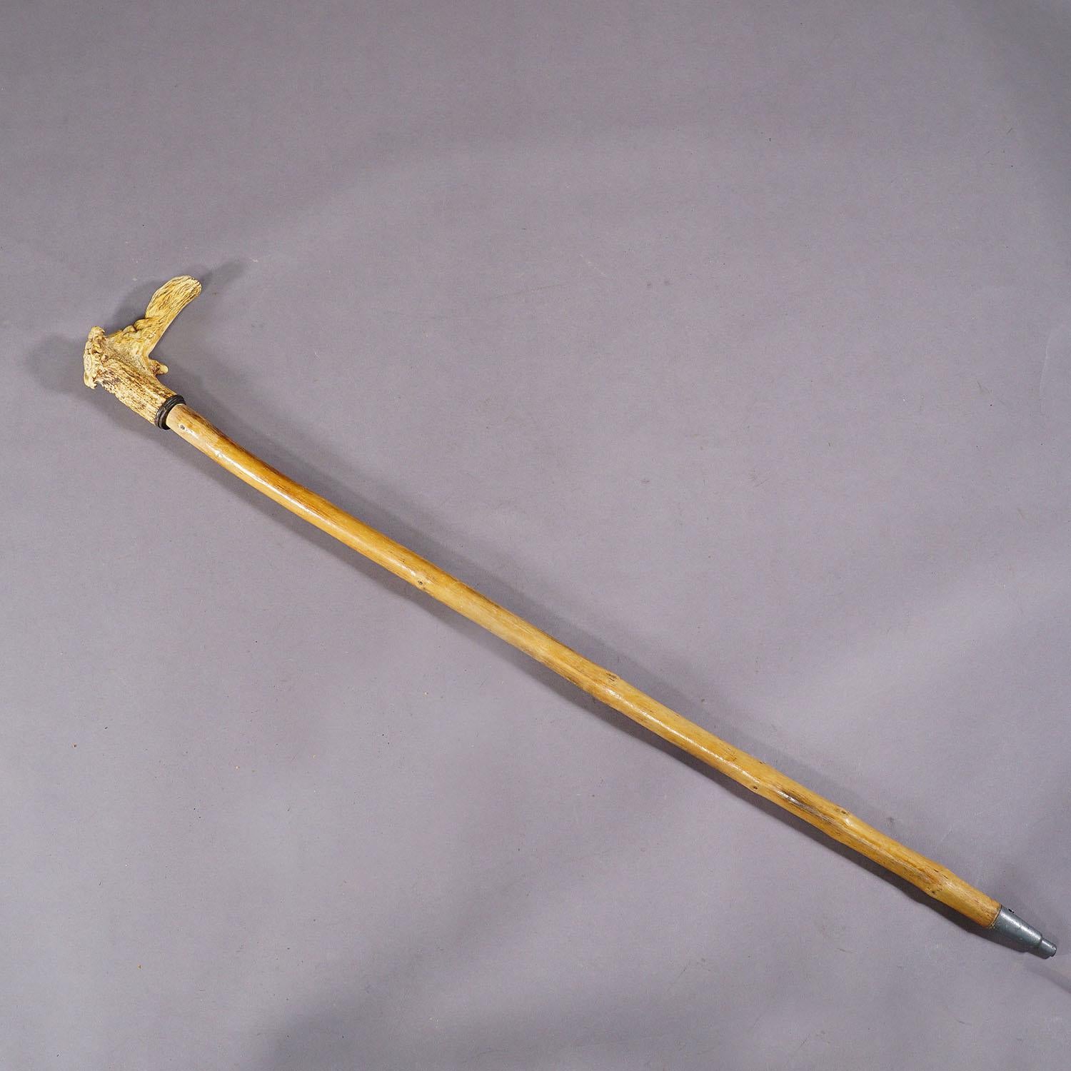 Rustic An Antique Walking Stick with Carved Deer Antler Handle For Sale