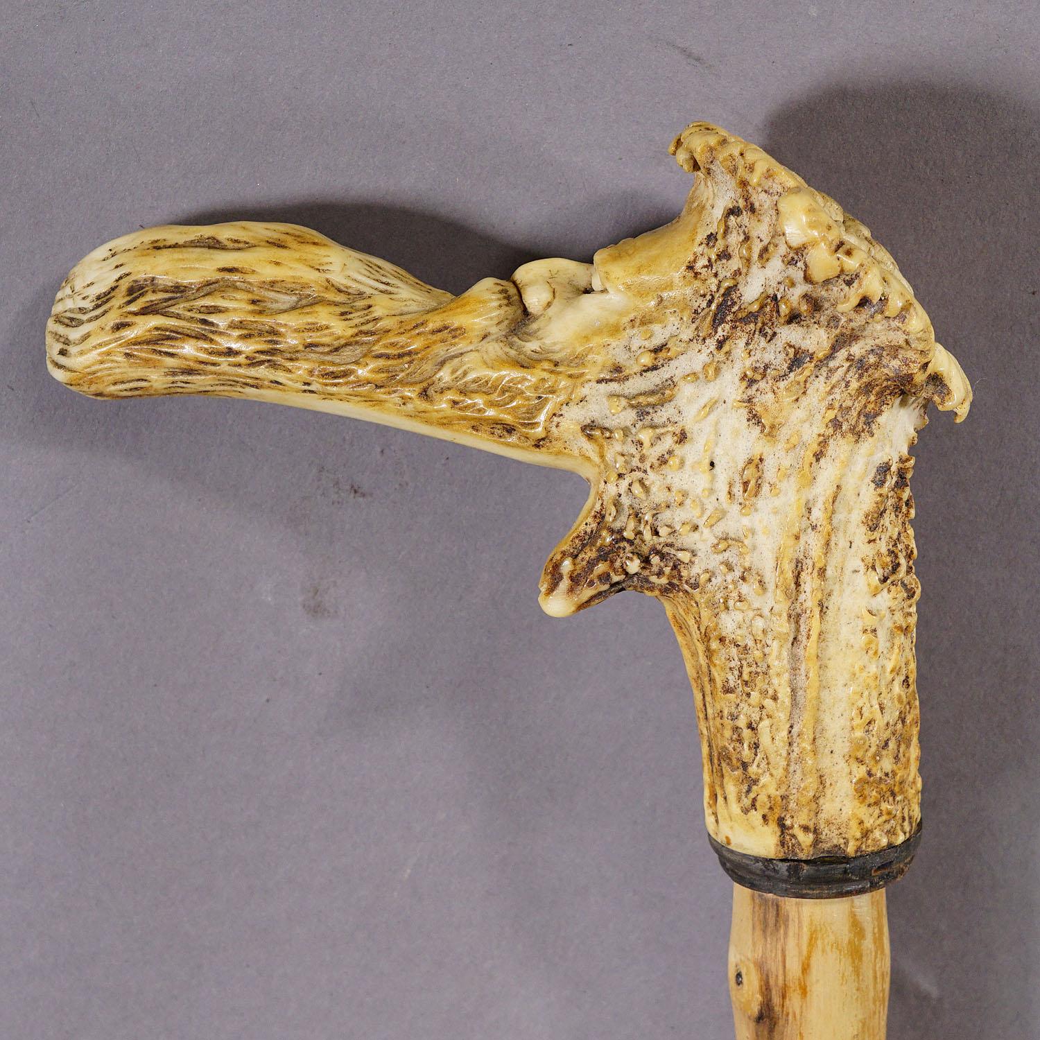19th Century An Antique Walking Stick with Carved Deer Antler Handle For Sale
