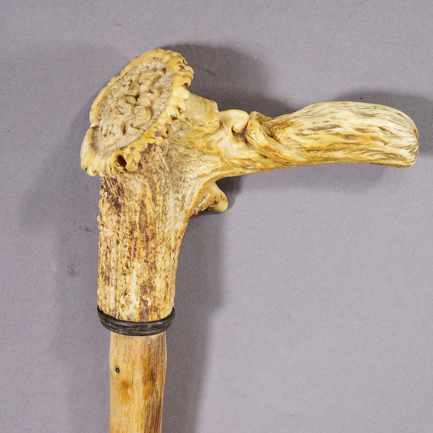 Bois cerf Antique bâton de marche avec manche en bois de cerf sculpté en vente