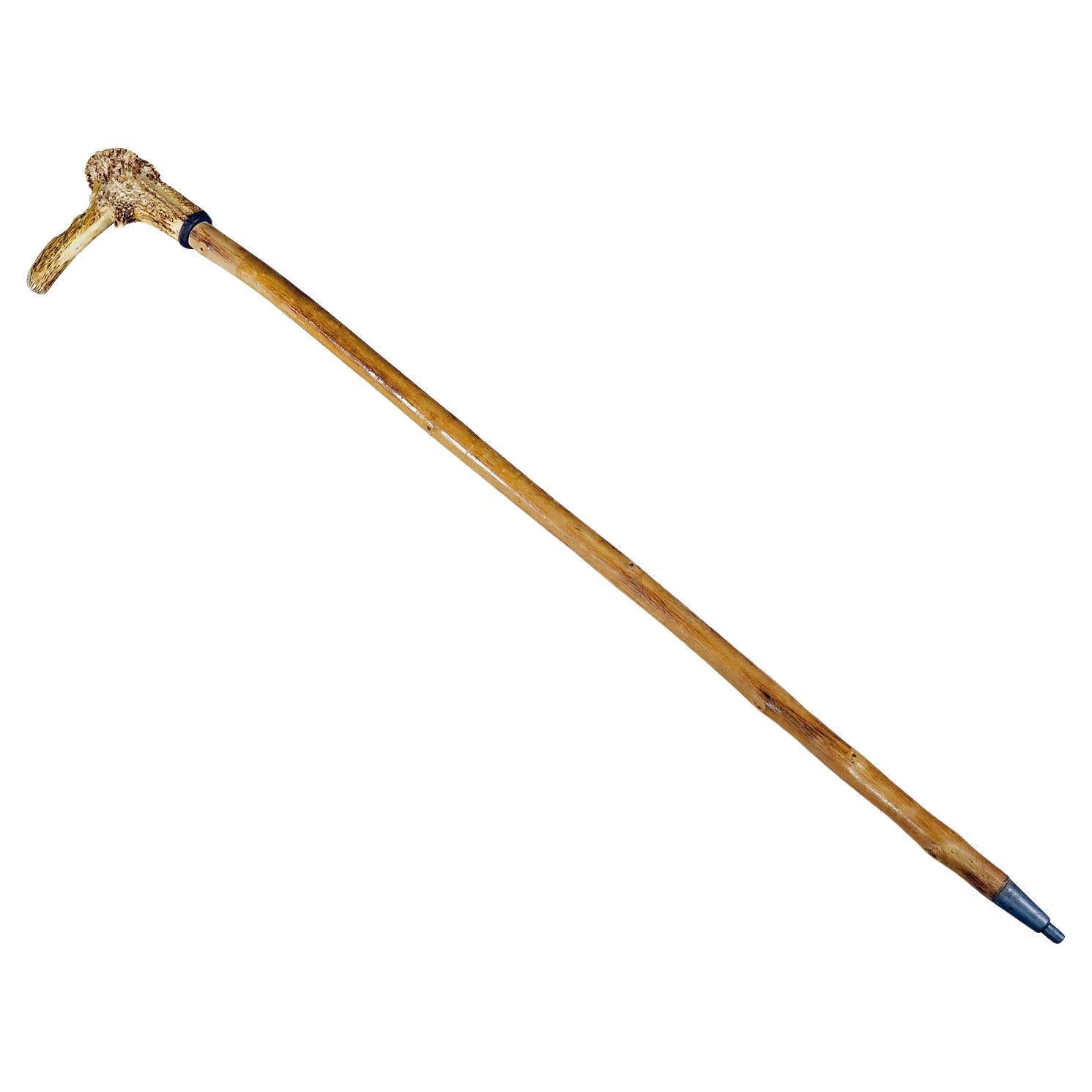 Antique bâton de marche avec manche en bois de cerf sculpté
