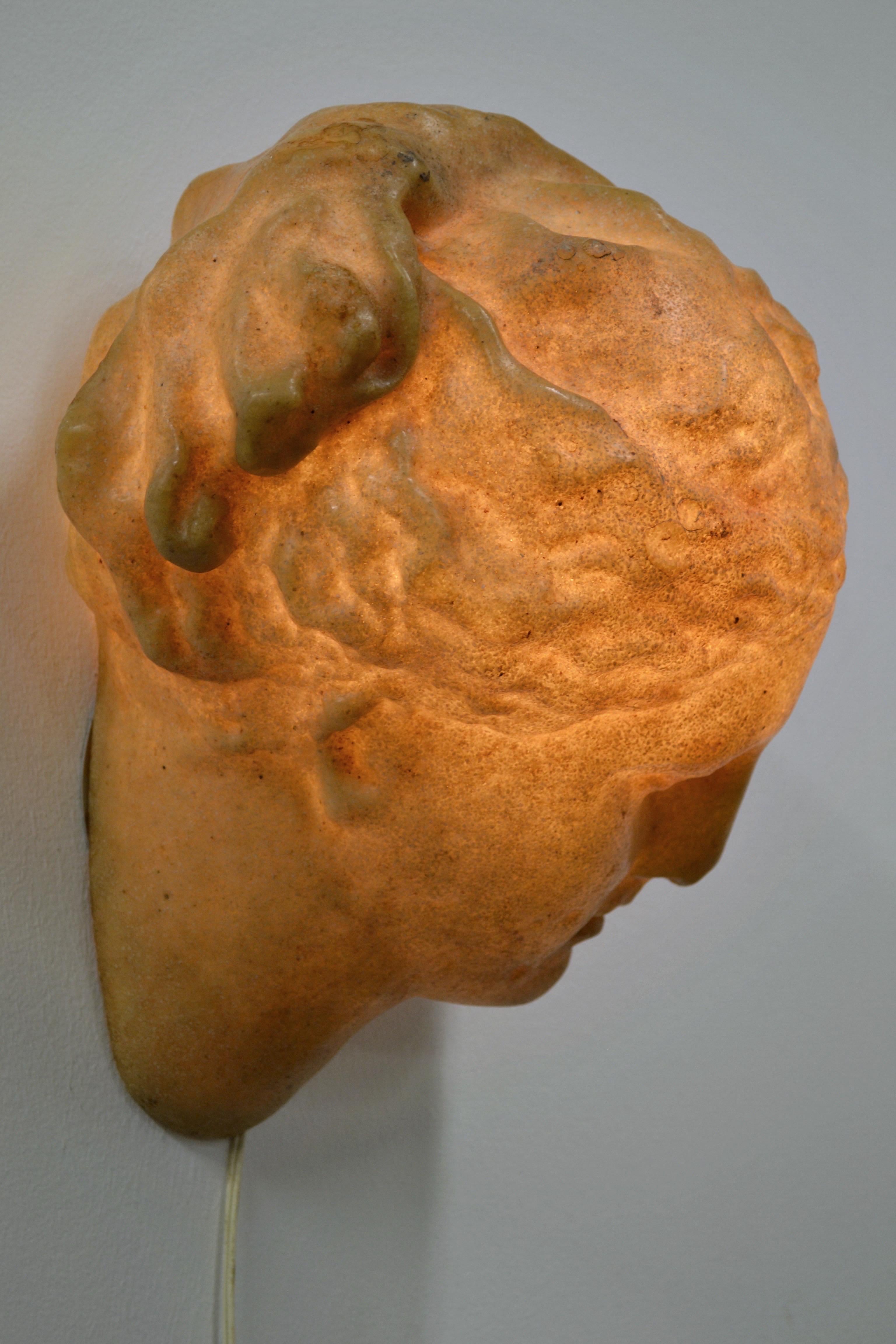 An Aphrodite wall lamp by André Cazenave for Atelier A - France 1970 (Glasfaser) im Angebot