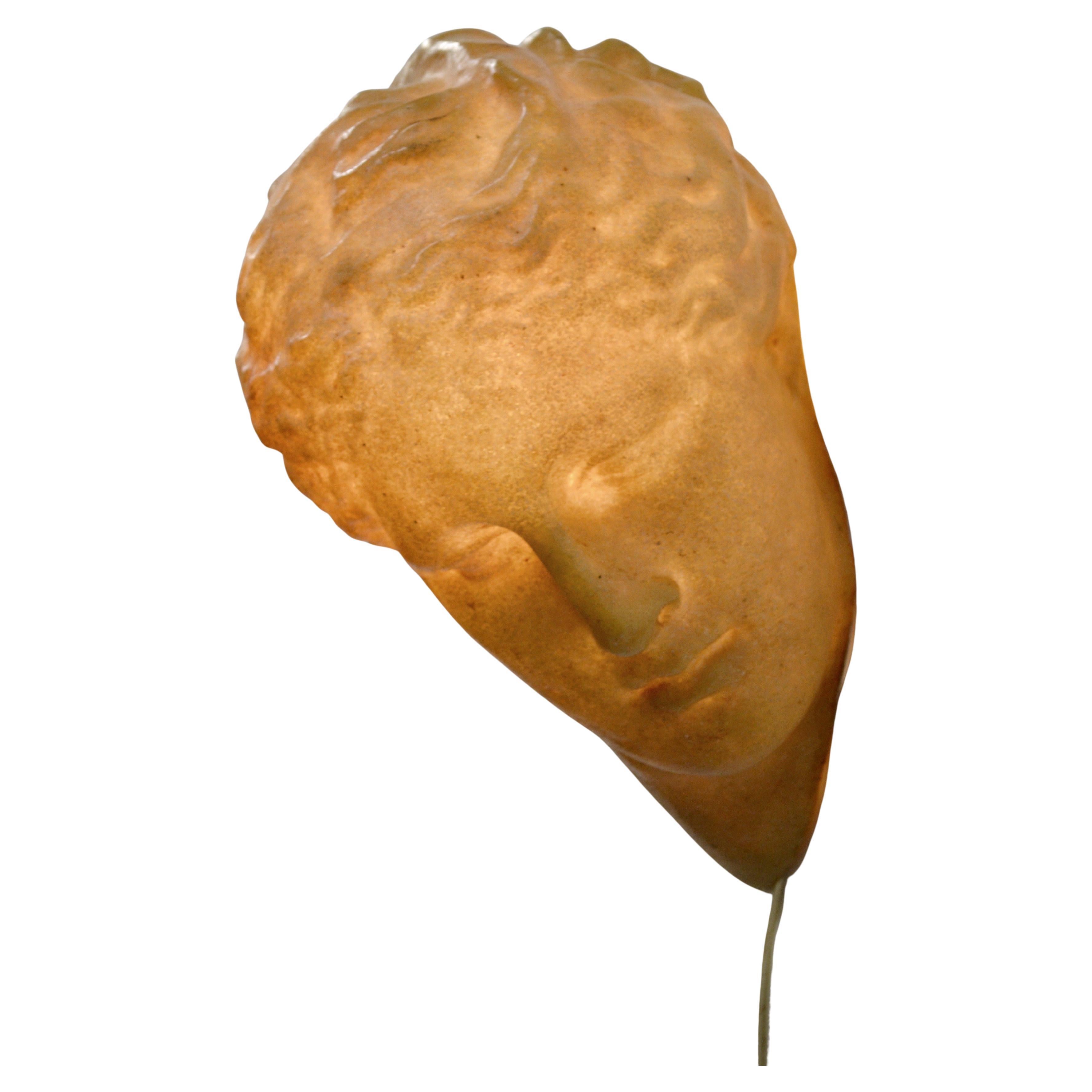 An Aphrodite wall lamp by André Cazenave for Atelier A - France 1970 im Angebot