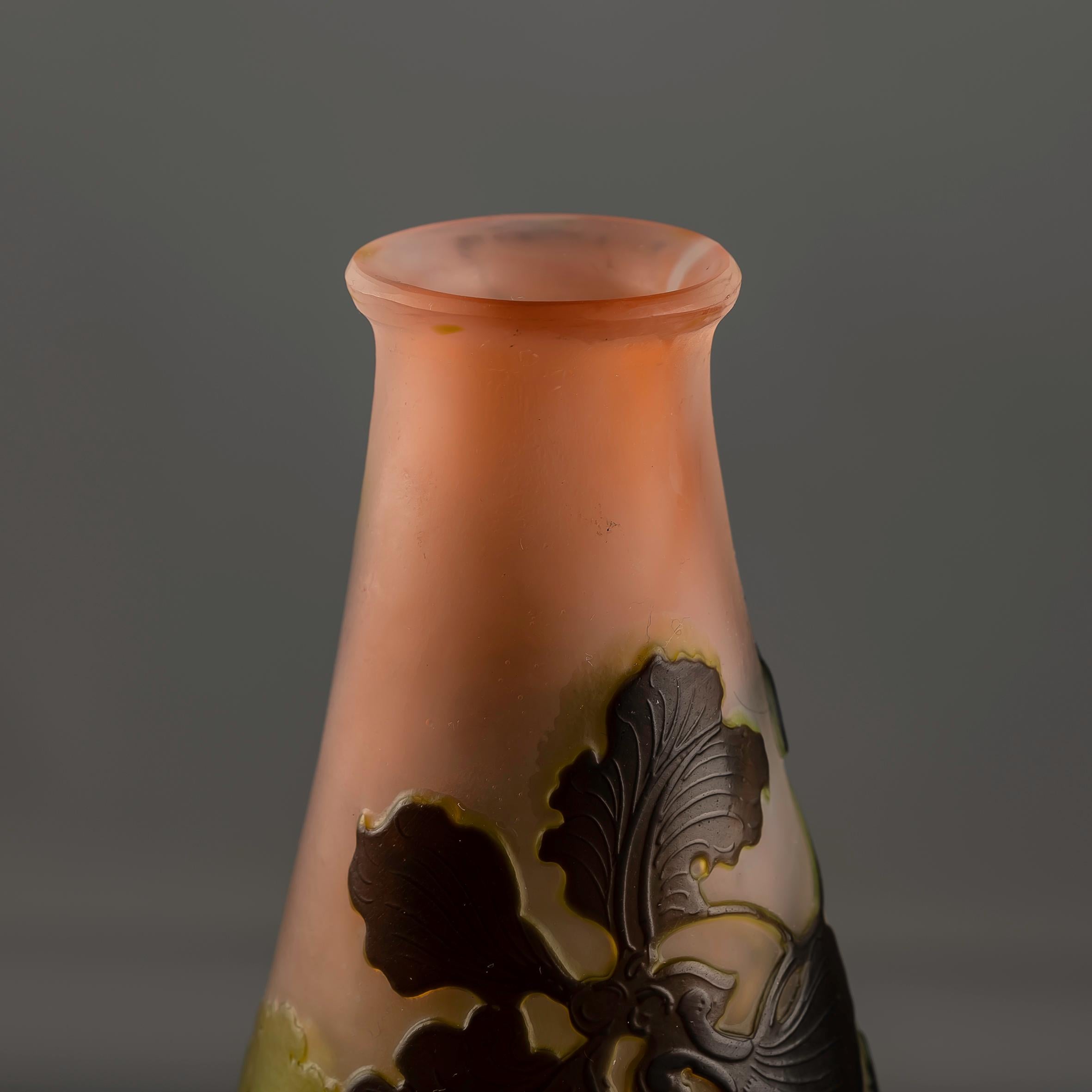 Early 20th Century An Art Nouveau Emile Galle glass Vase  For Sale