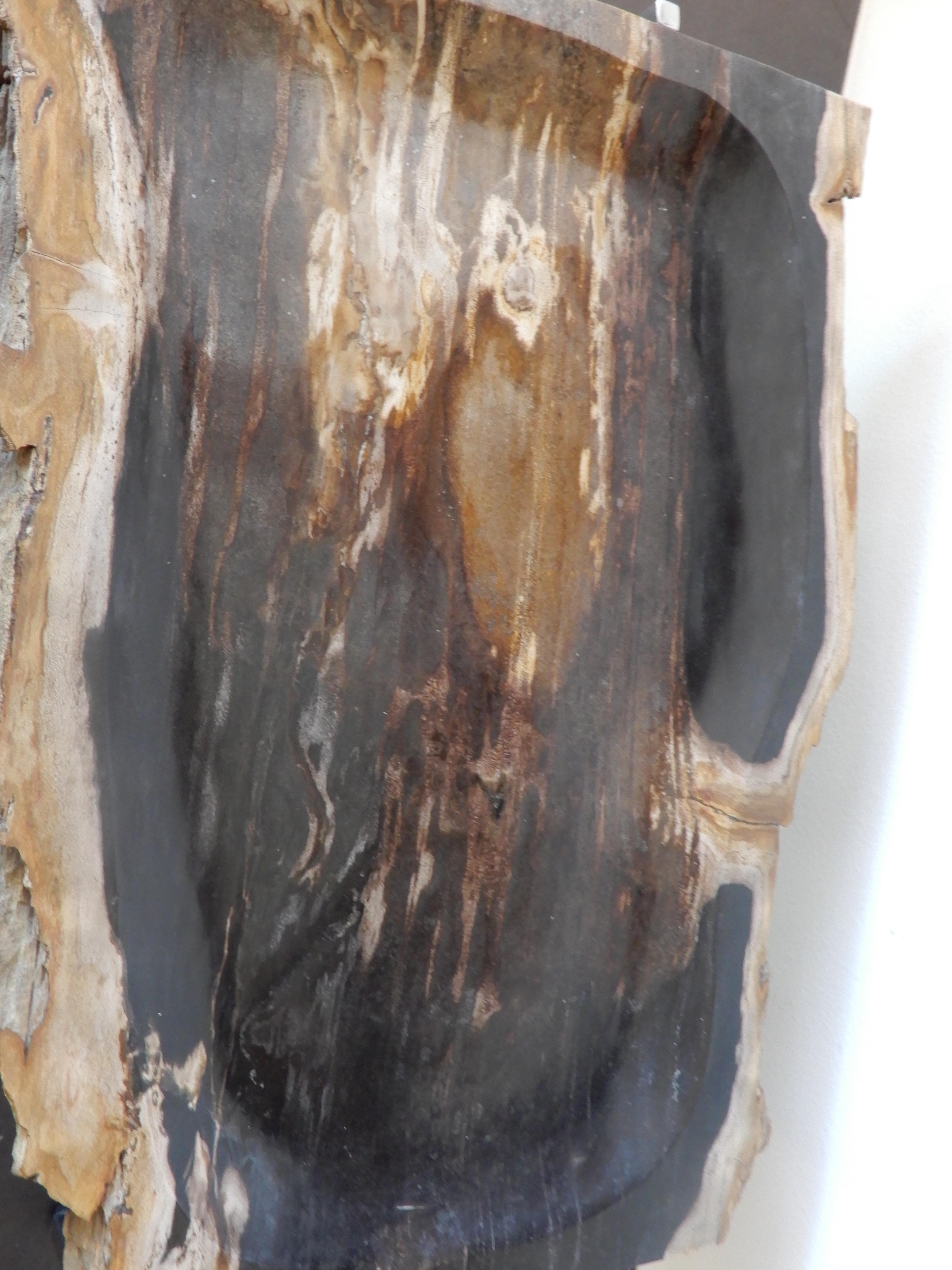 Modern Artisan Crafted Petrified Wood and Chrome Platter