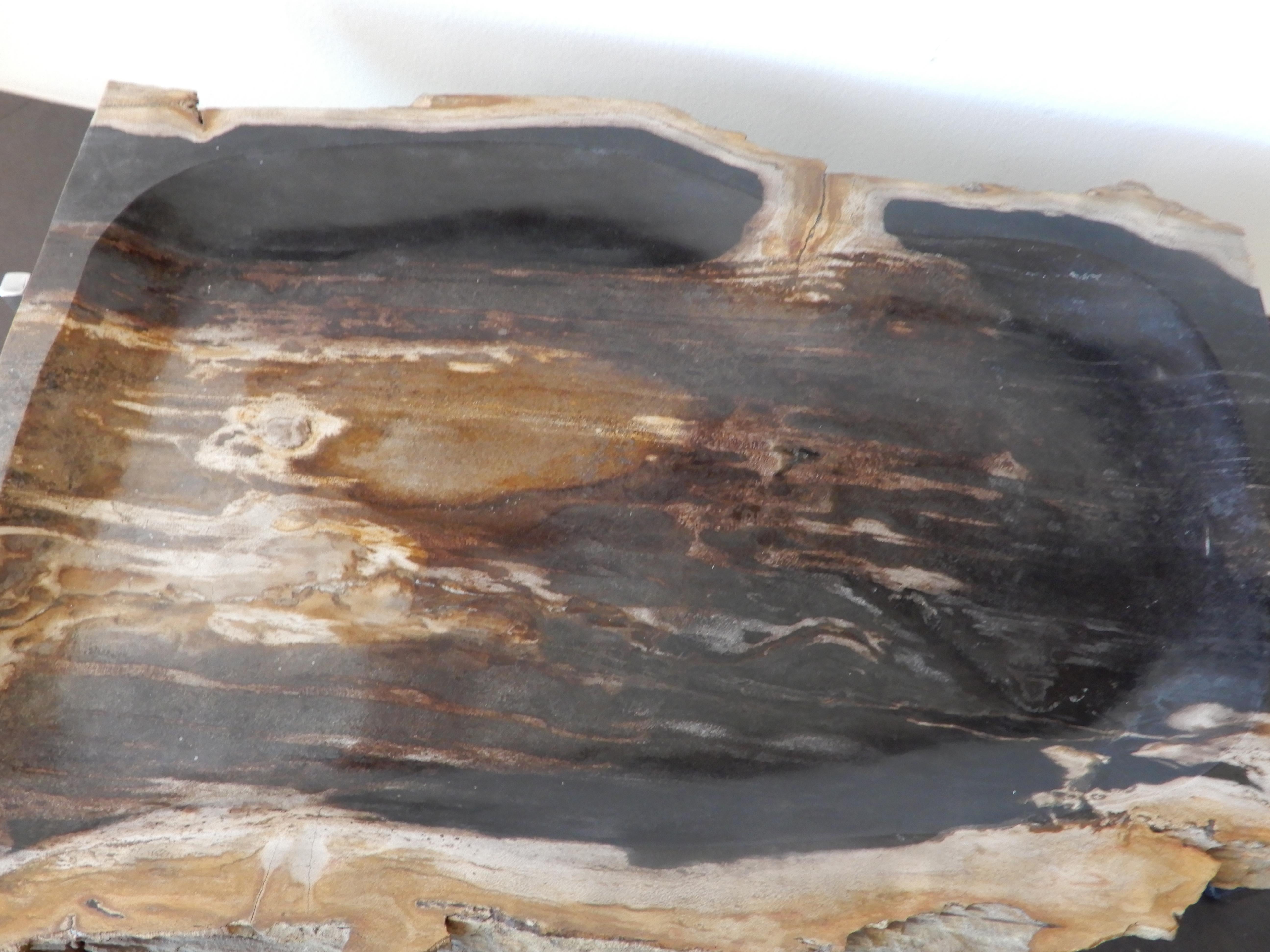 Hand-Crafted Artisan Crafted Petrified Wood and Chrome Platter