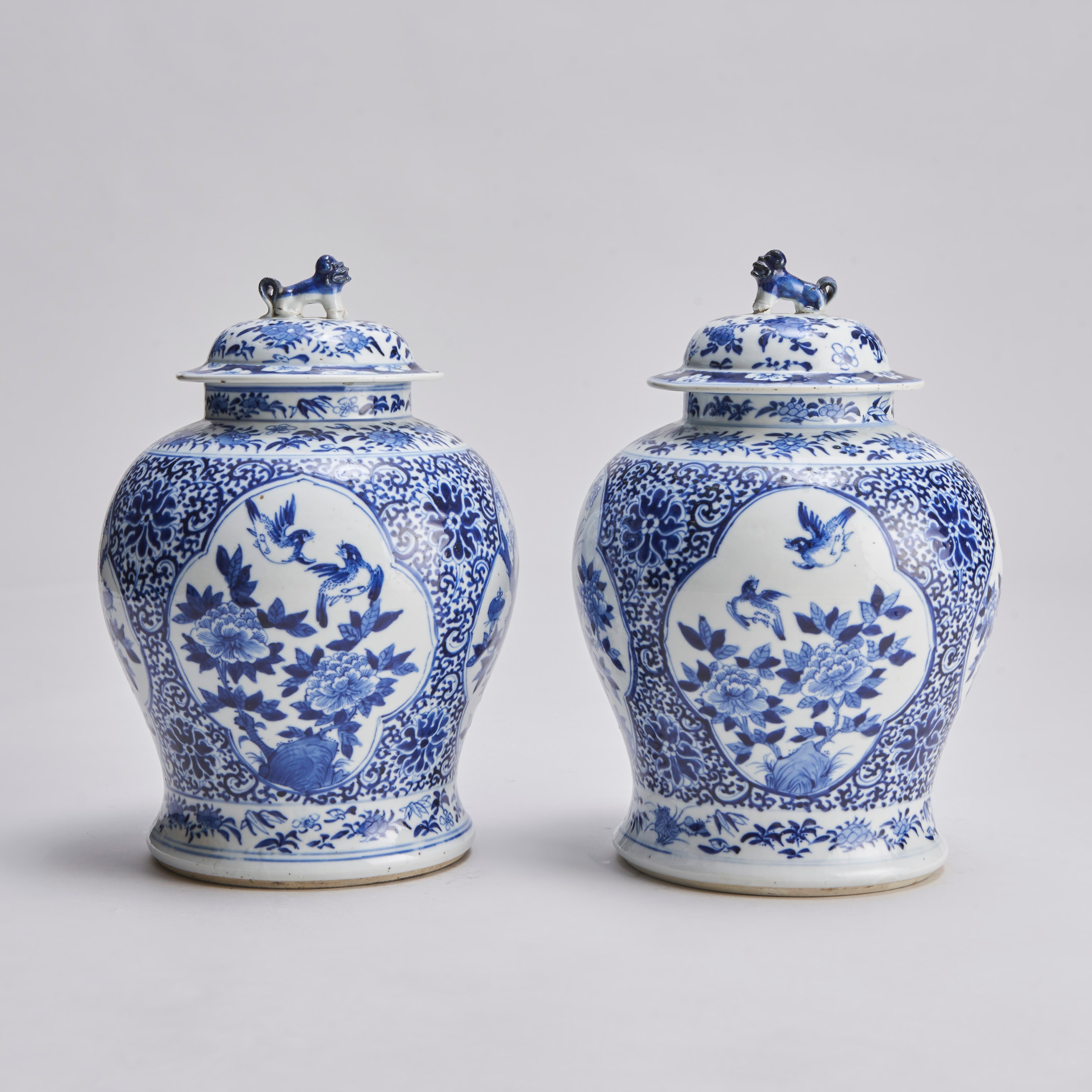 From our collection of Blue and White porcelain, this 19th Century pair of Chinese jars and covers with Shi Shi dog knops. The vases with panels of playful decoration of birds flying above peony bushes. The panels on a stylised foliate ground. The