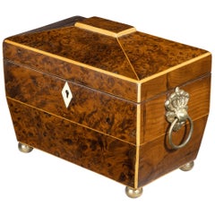 Attractive Regency Period Purple Heart Shaped Caddy