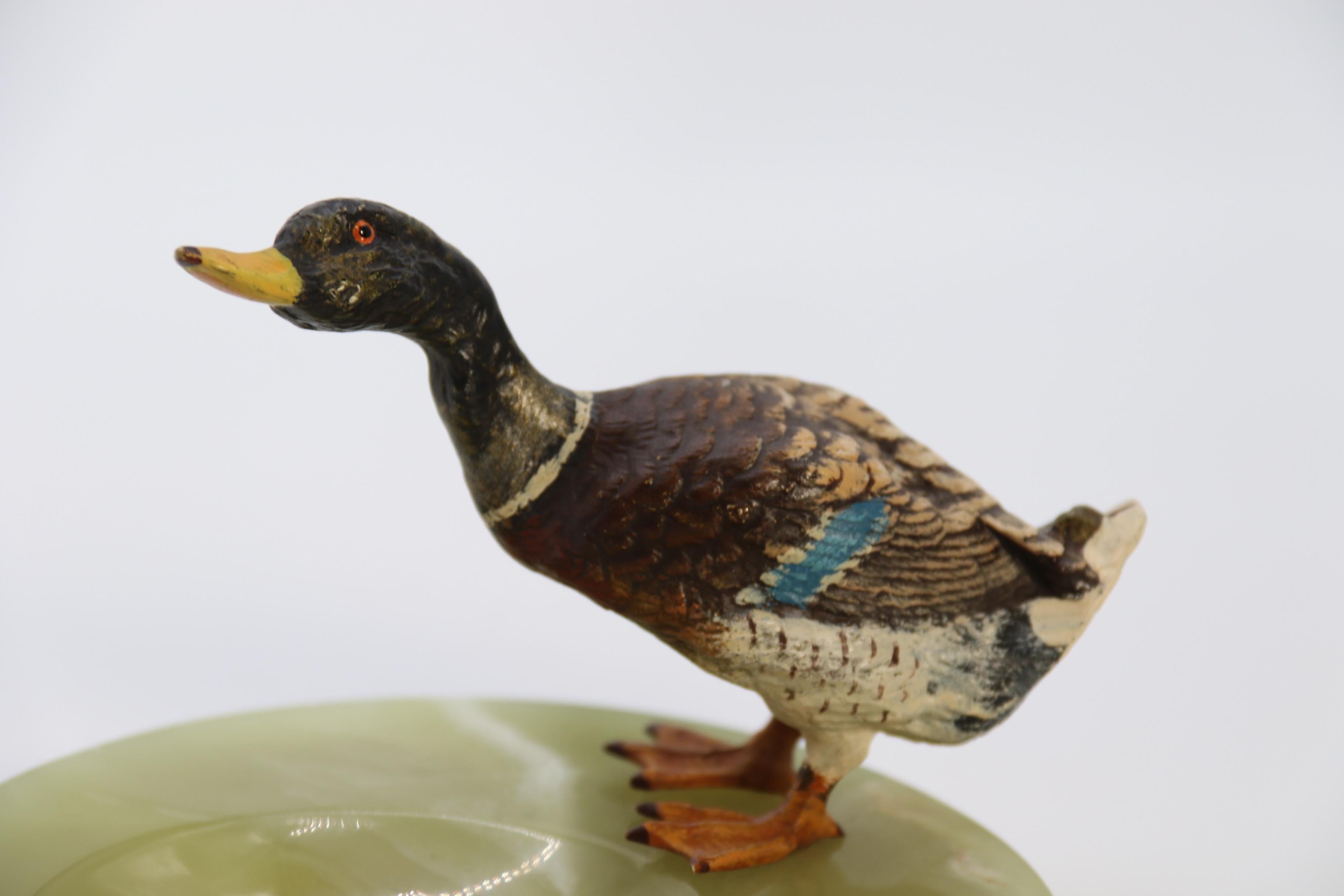 Austrian Cold Painted Bronze Study of a Drake Mallard Duck Drinking, circa 1930 For Sale 7