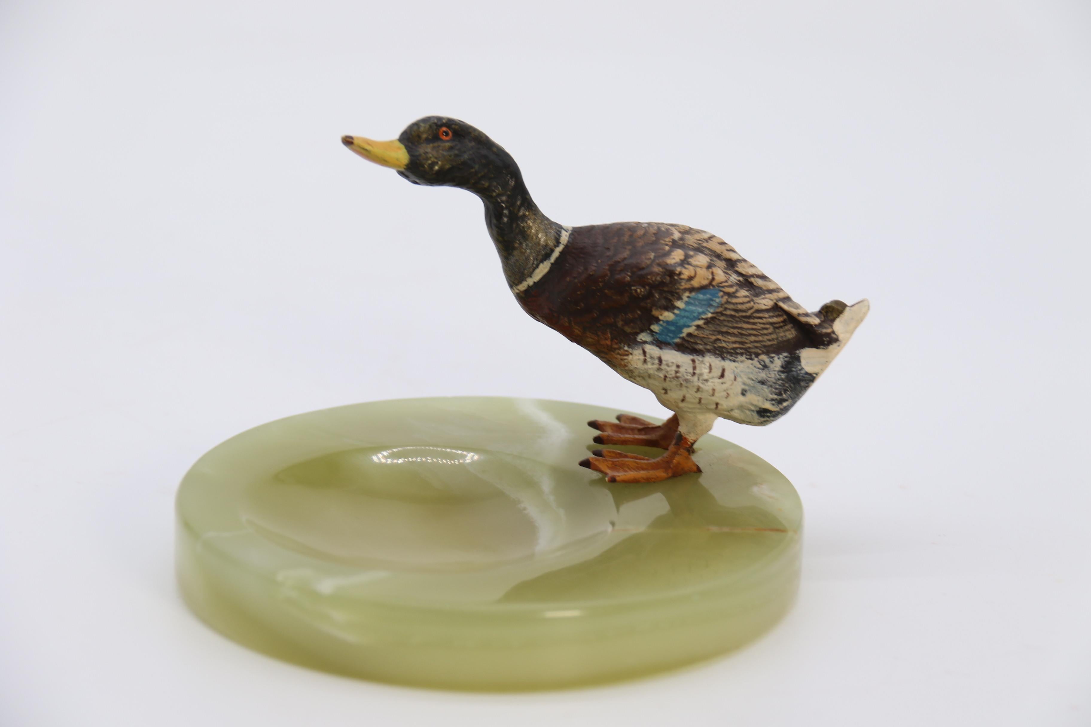 Cast Austrian Cold Painted Bronze Study of a Drake Mallard Duck Drinking, circa 1930 For Sale
