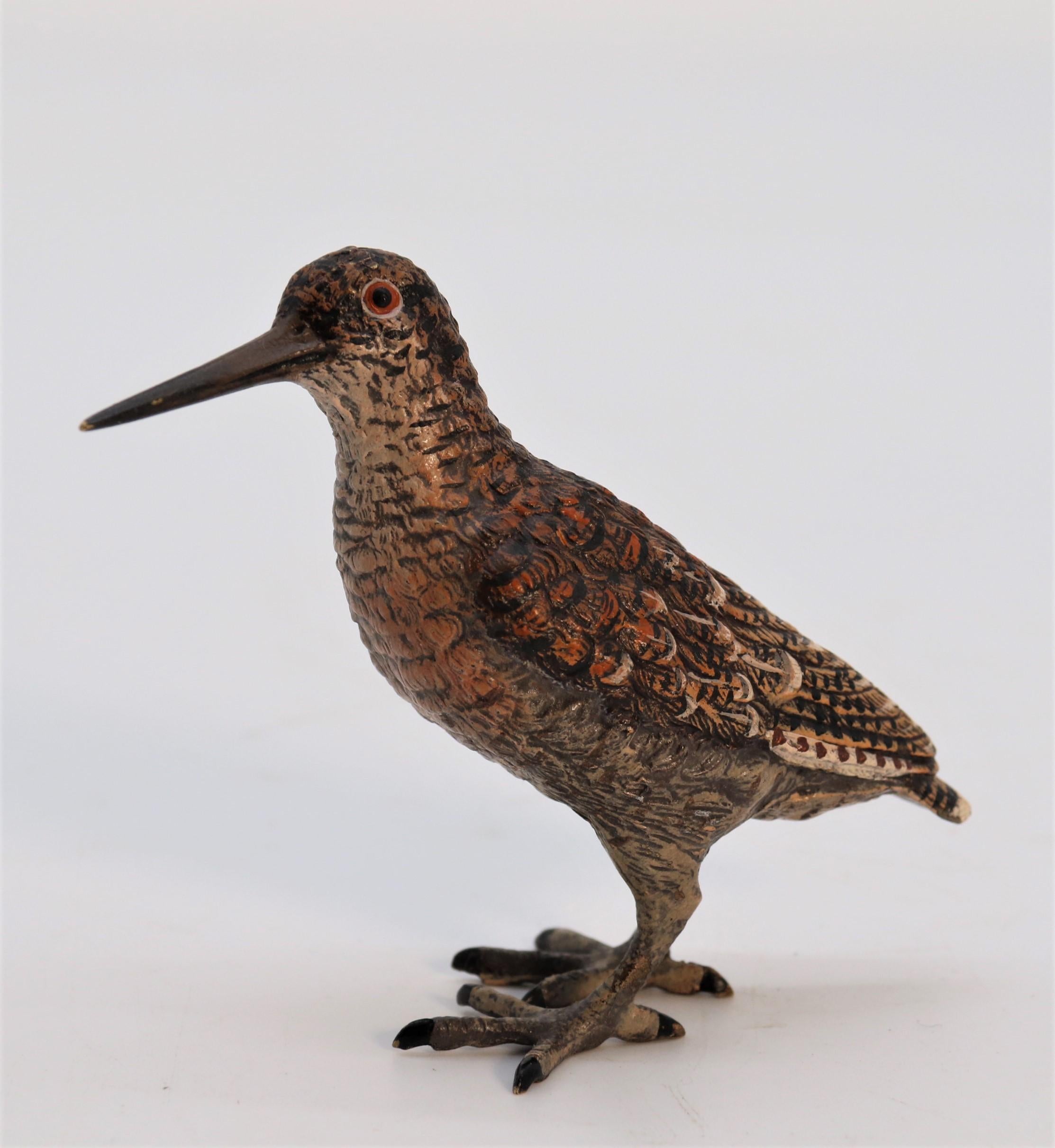 This exquisite heavy cast bronze figure of a woodcock is beautifully modelled. It depicts a standing woodcock with magnificent plumage. It is very finely hand painted in realistic colours which are in excellent condition. This pleasing figure is