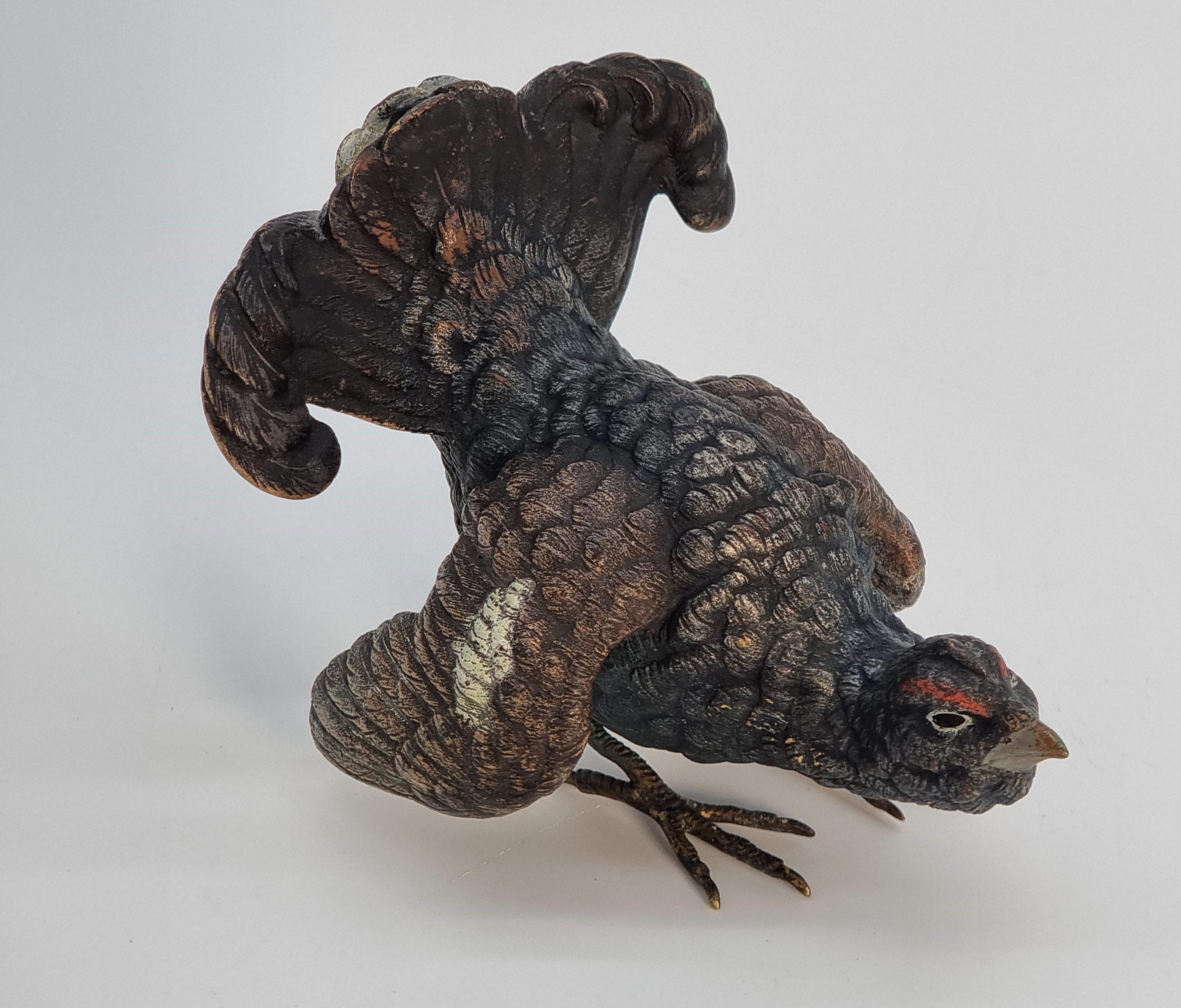 An Austrian Vienna late 19th century cold painted bronze study of a capercaillie For Sale 3
