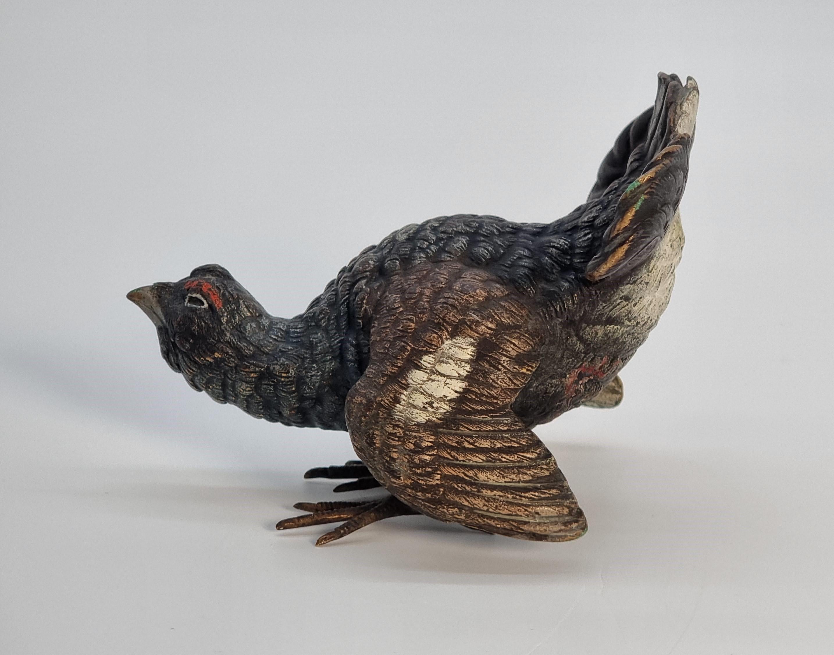 An Austrian Vienna late 19th century cold painted bronze study of a capercaillie

This very realistic Austrian Vienna cold painted bronze study is a very pleasing example and is beautifully modelled. It shows the male capercaillie in full breeding