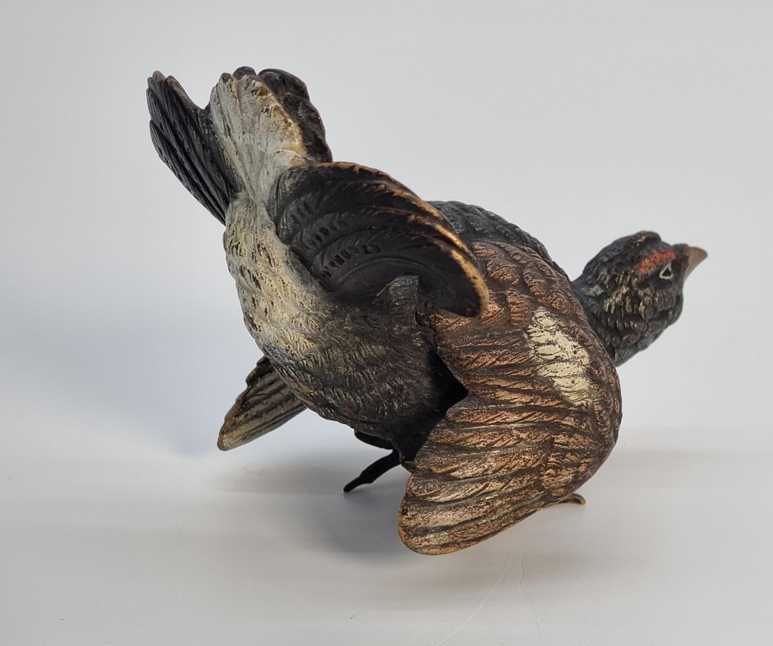 Cold-Painted An Austrian Vienna late 19th century cold painted bronze study of a capercaillie For Sale